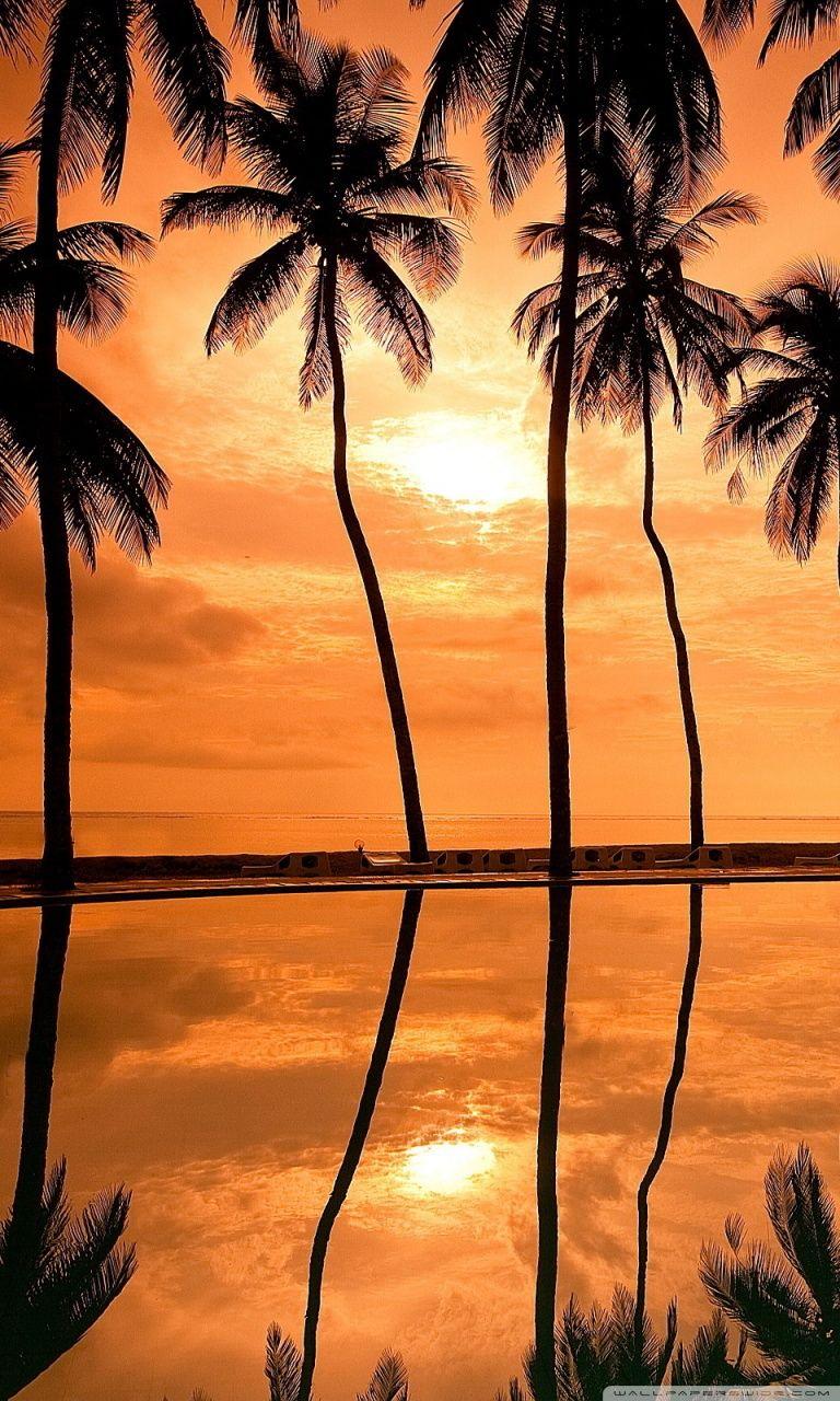 Hawaii Beach Sunset Wallpapers - Top Free Hawaii Beach Sunset ...