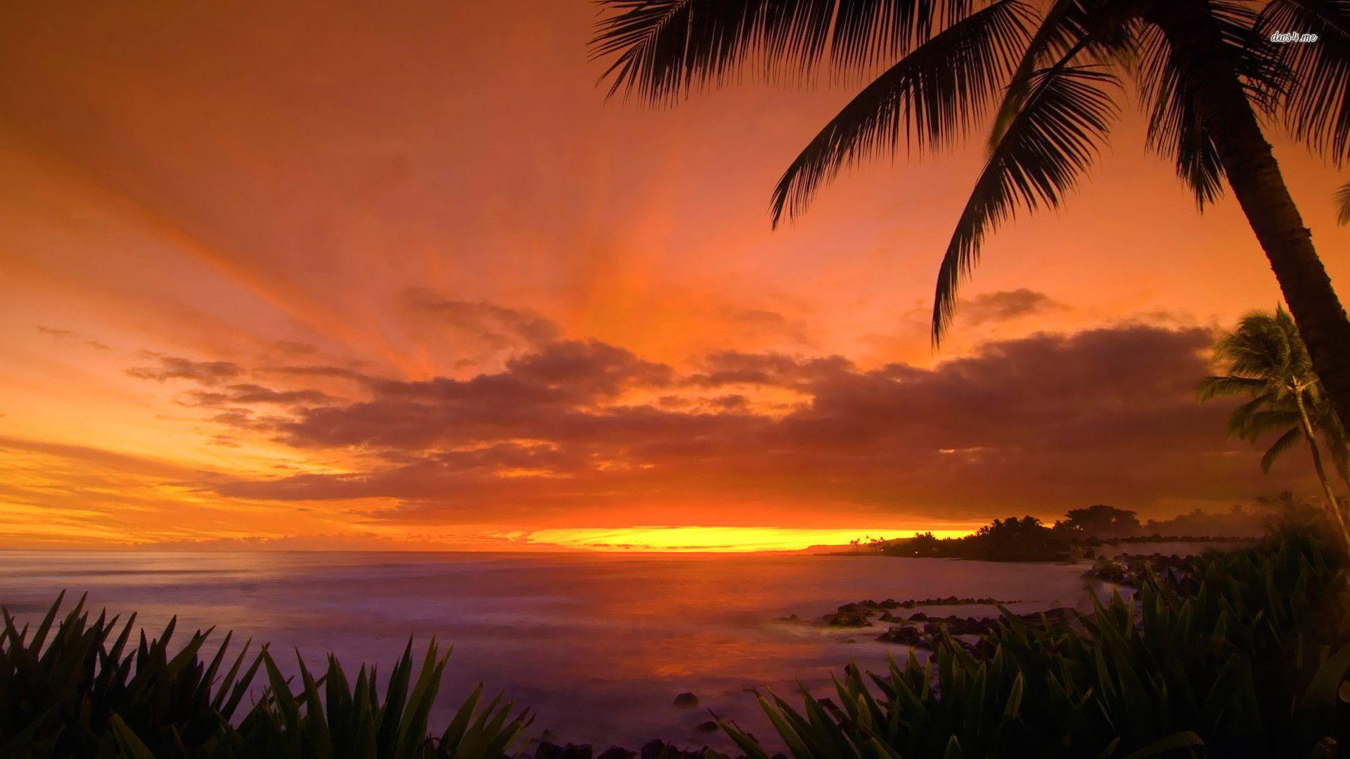 1920x1080 Hawaii Sunset Wallpaper