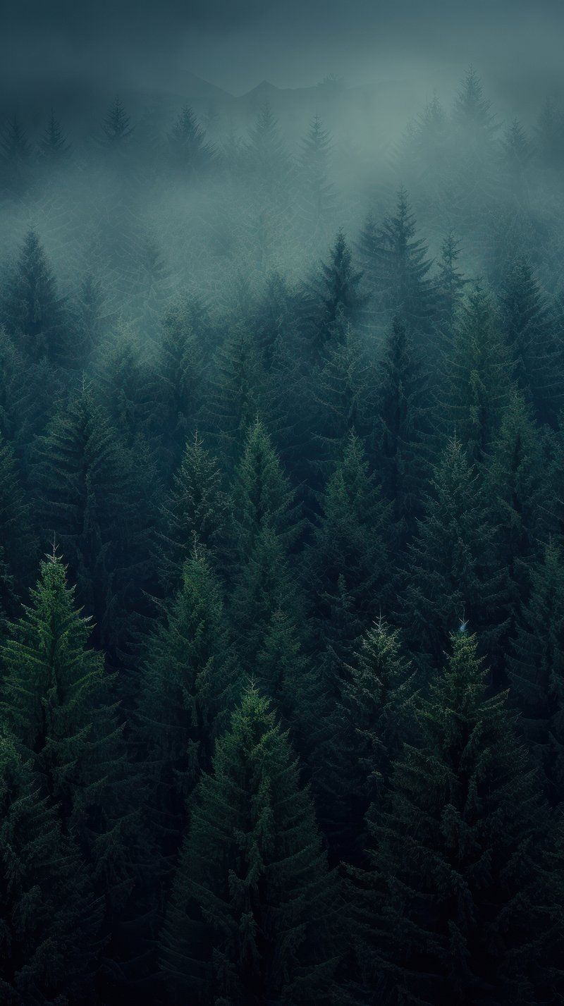 800x1427 Dark Green Background Image. Free