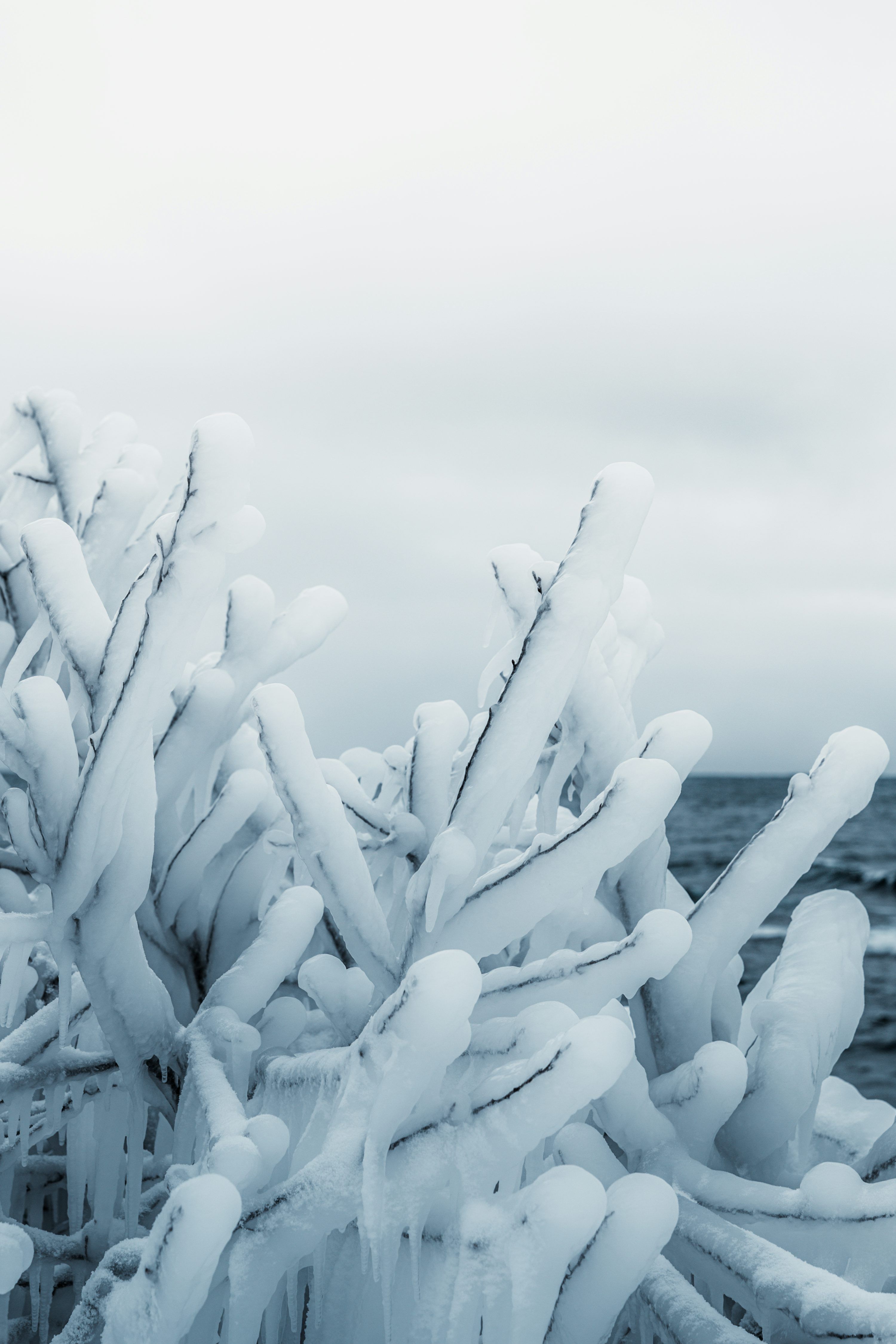 3000x4500 Ice Cold Picture. Download Free