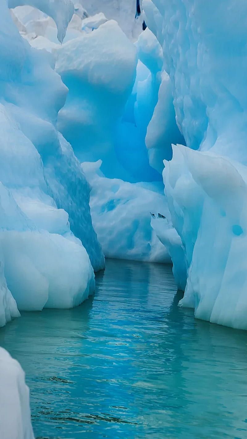 800x1422 Blue ice, blue, cold, ice, nature, water, HD phone wallpaper