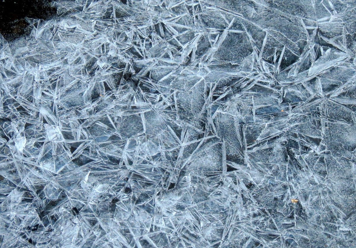 1200x836 Ice Cold. New Hampshire Garden Solutions
