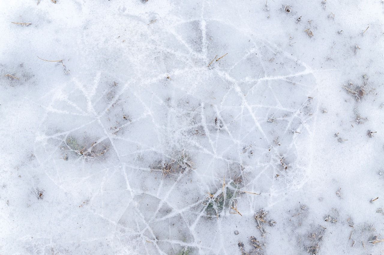 1280x848 Pattern Winter Cold