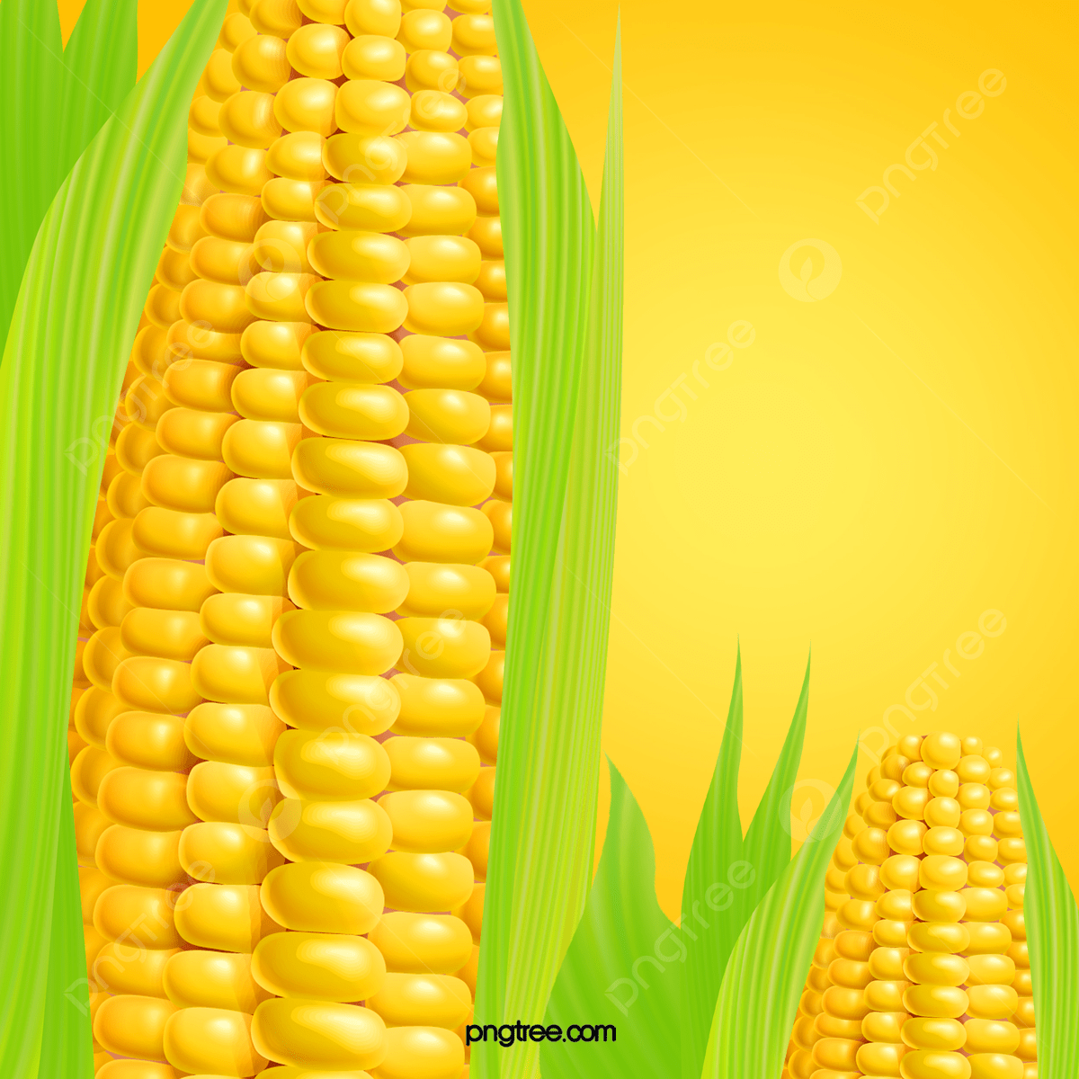 1200x1200 Corn Fruit Kernel Grain Background