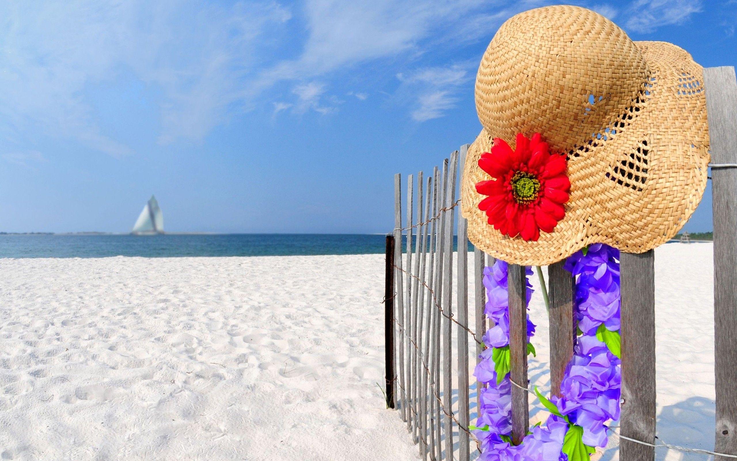 2560x1600 Desktop Wallpaper Hawaii HD Wallpaper Background Photo