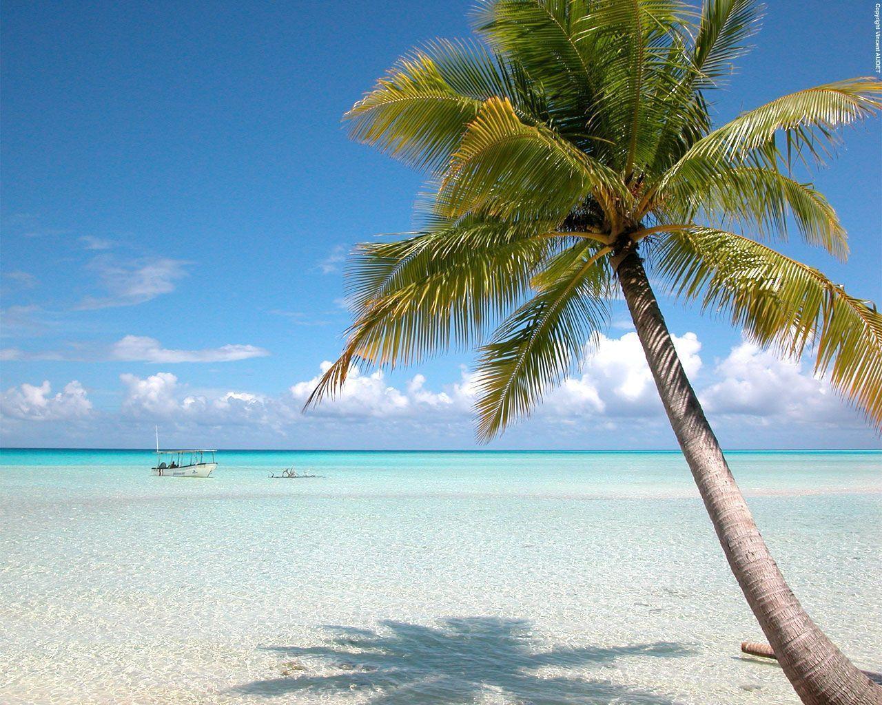 1280x1024 Tahiti Wallpaper