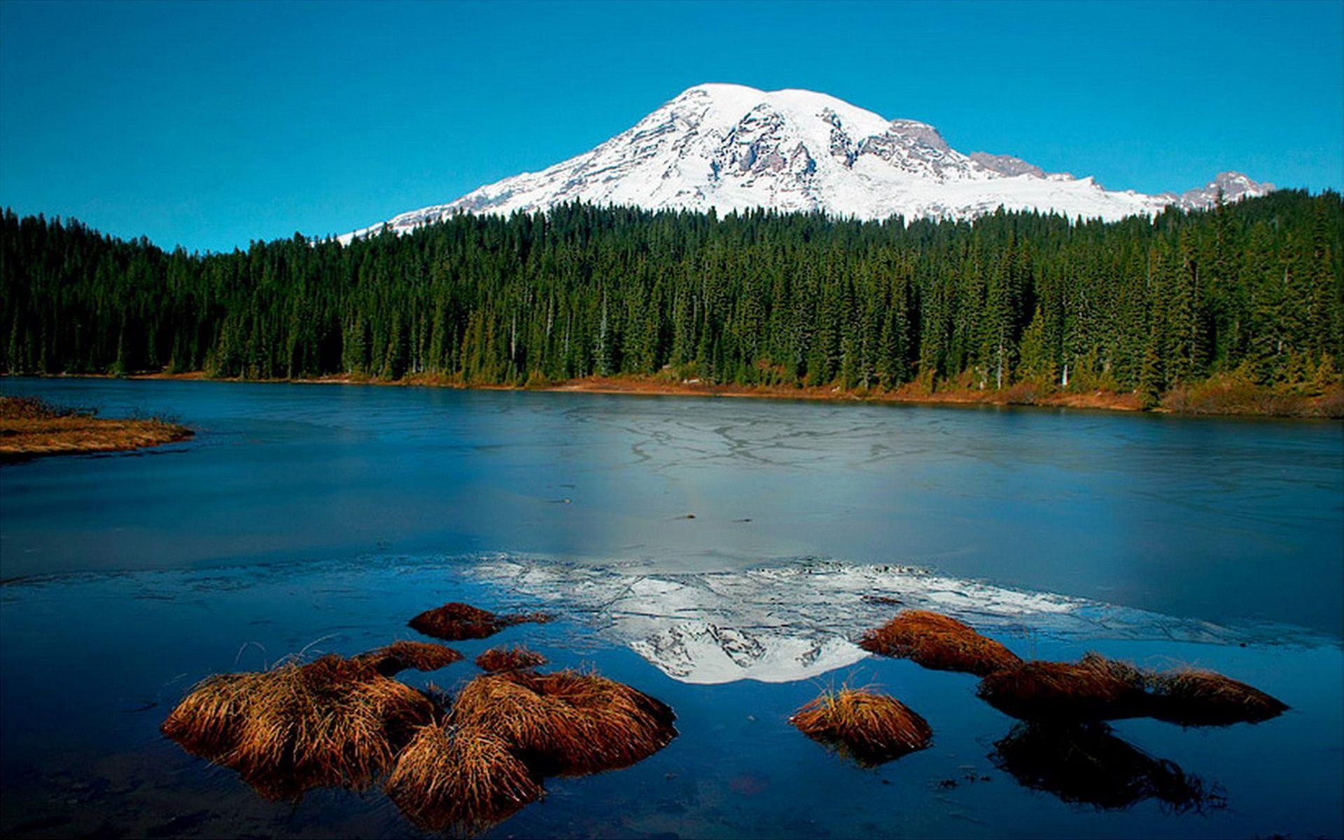 1920x1200 Nature Landscape Snow Mountain River Forest HD Wallpaper