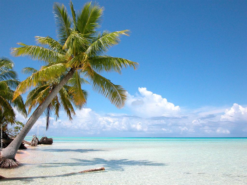 1024x768 Tahiti Beach Wallpaper High Res Pics 23357 Wallpaper