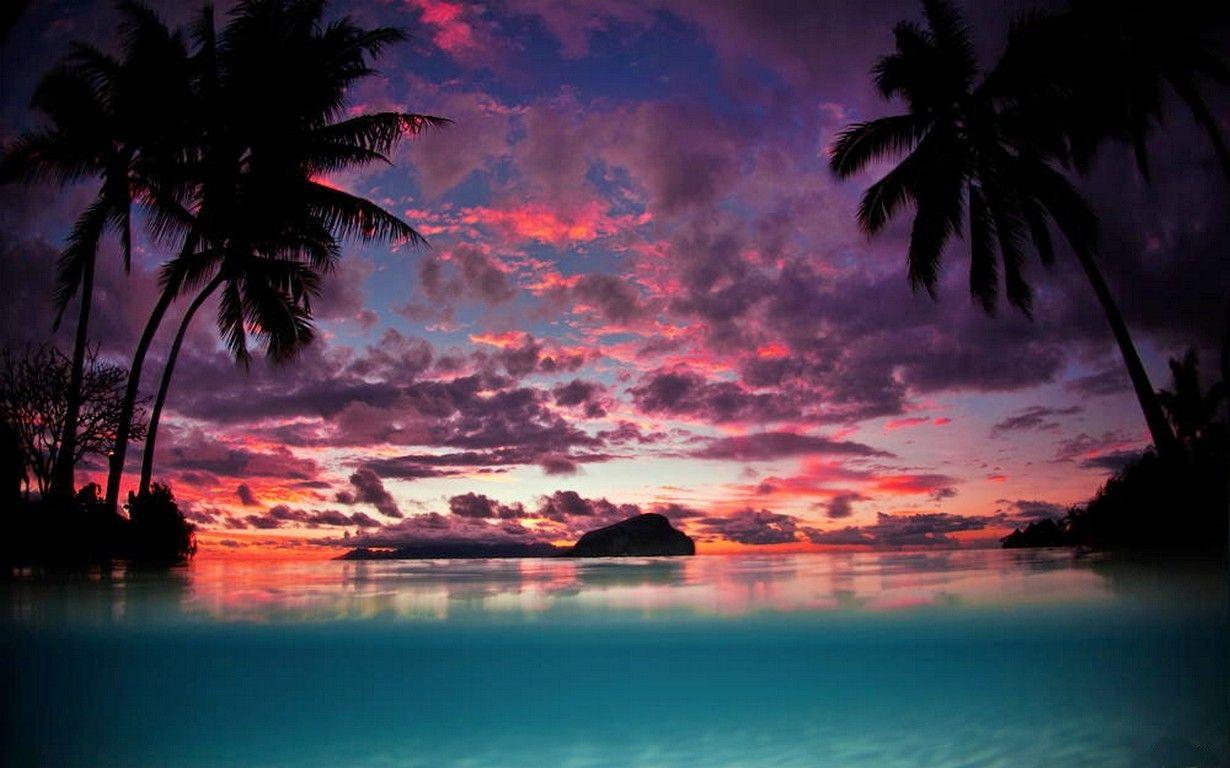 1230x768 #landscape, #beach, #sunset, #tropical, #nature