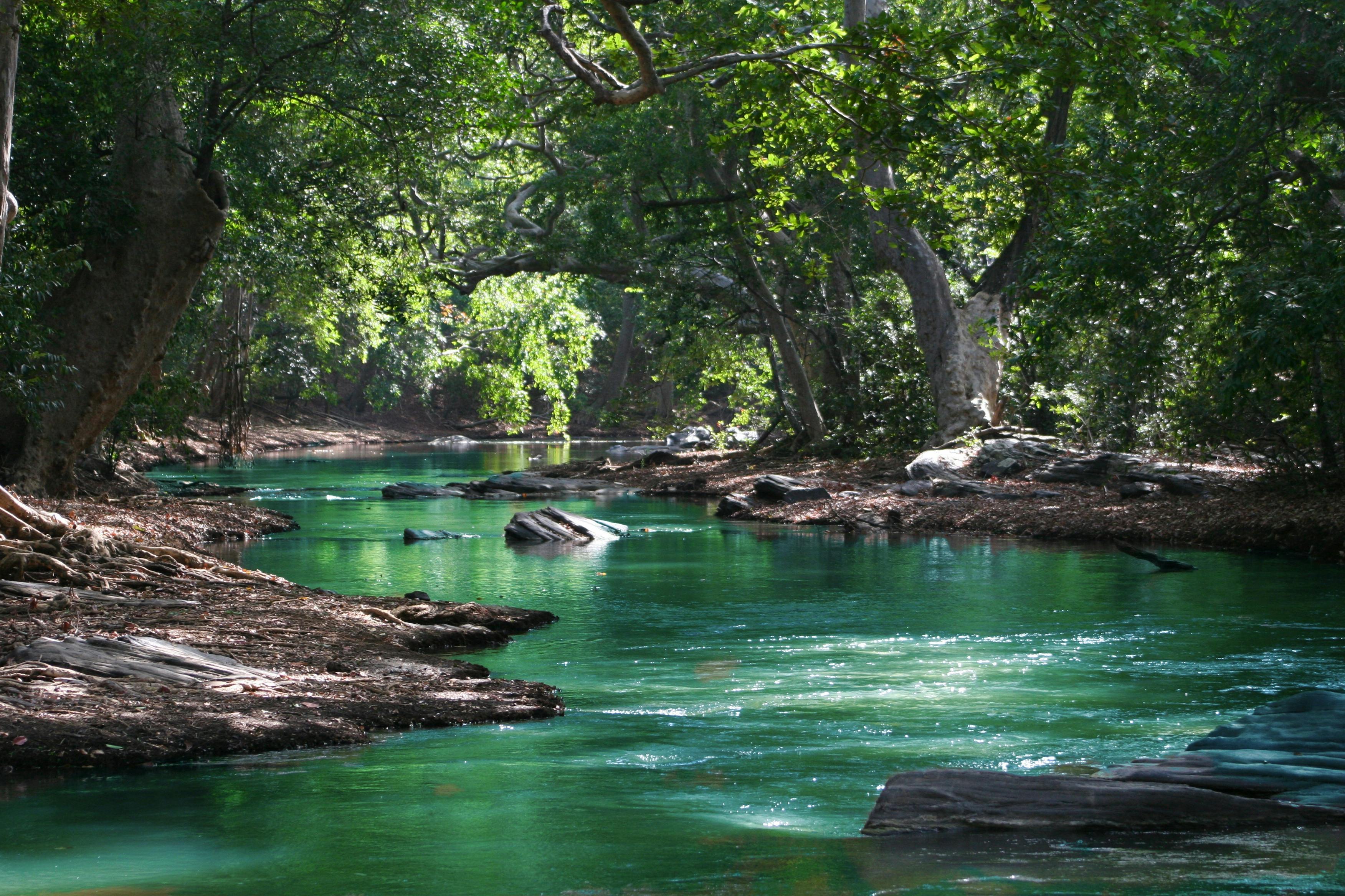 3504x2336 River & HD Image
