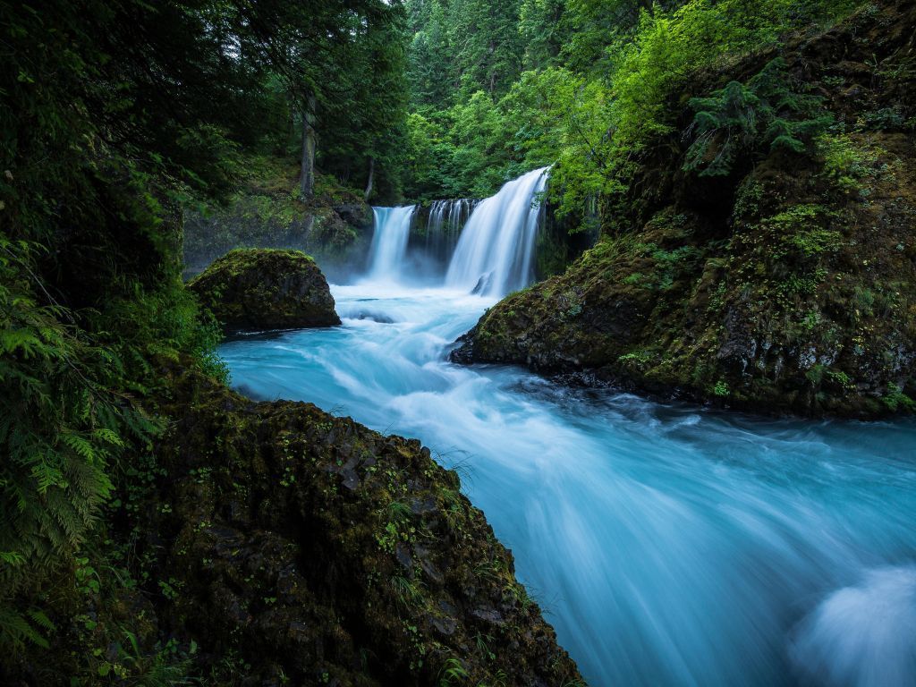 1024x768 Wallpaper forest, waterfall, river