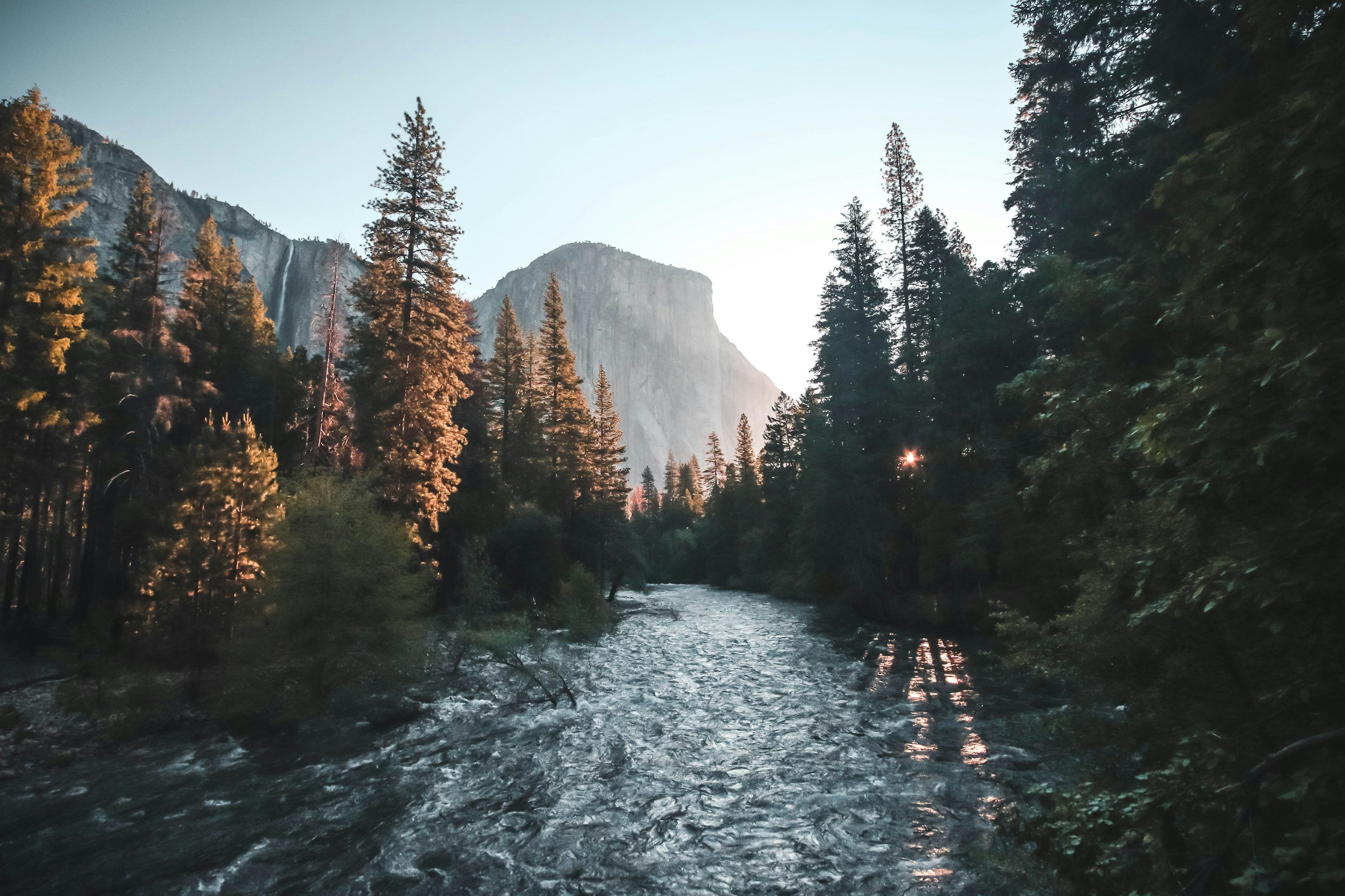 3000x2000 River Tree Picture. Download Free