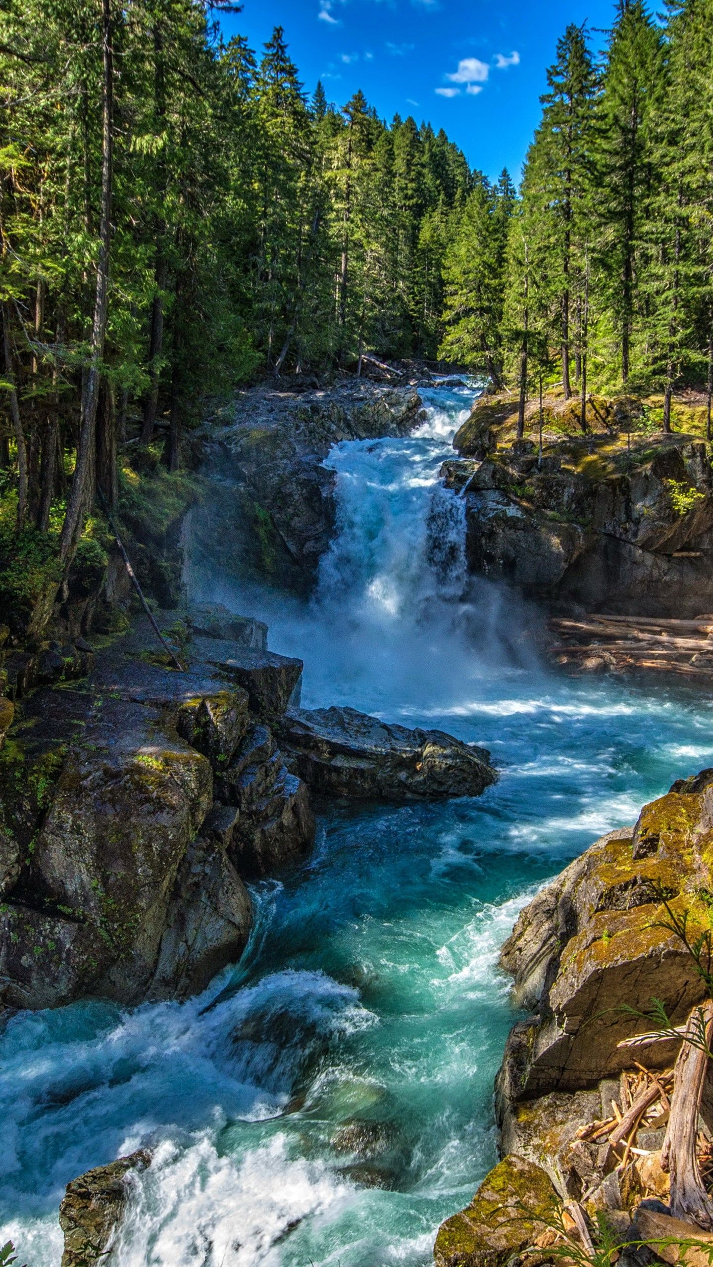 1440x2560 Waterfalls Stream River Between Green