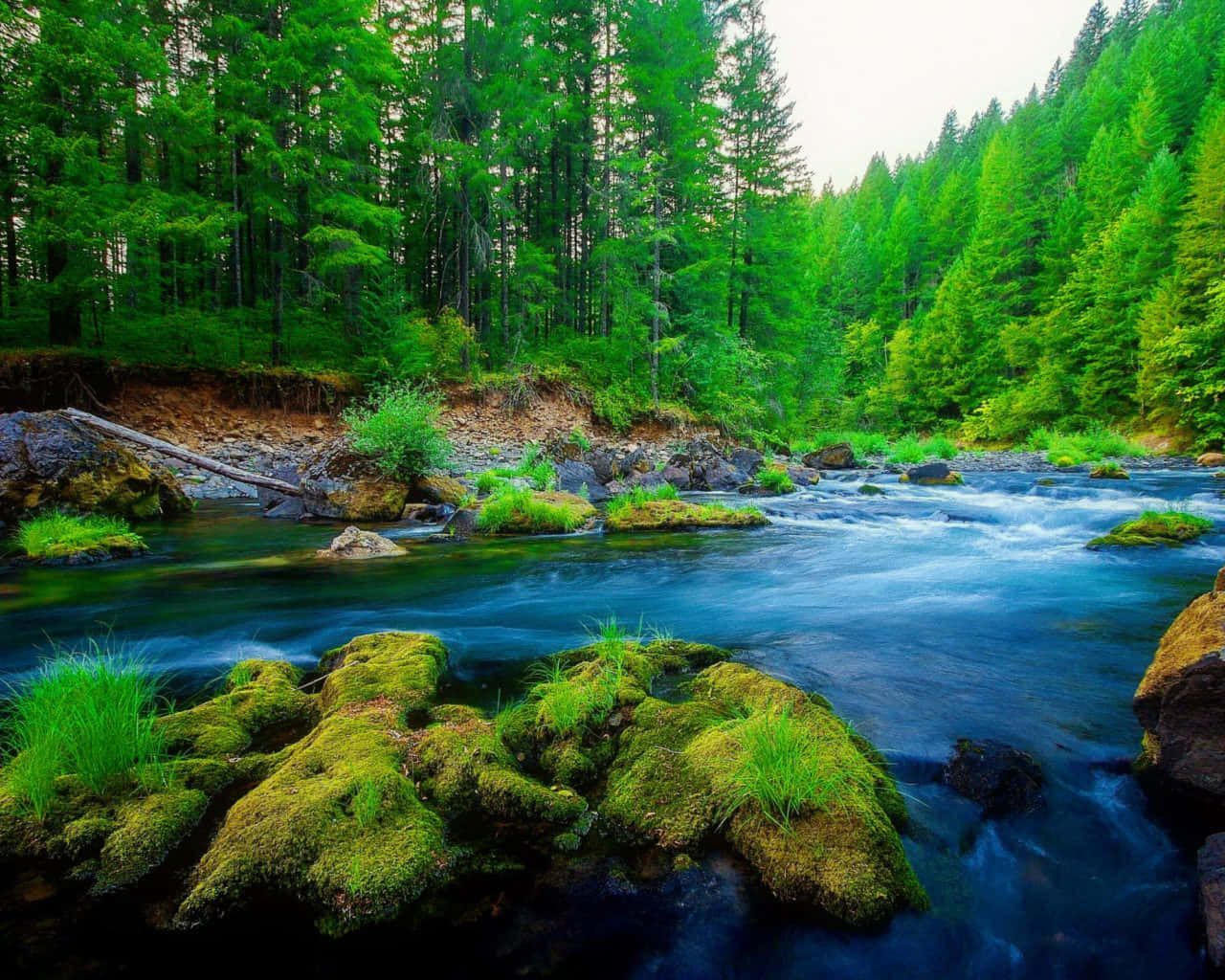 1280x1024 River HD Wallpaper 200++