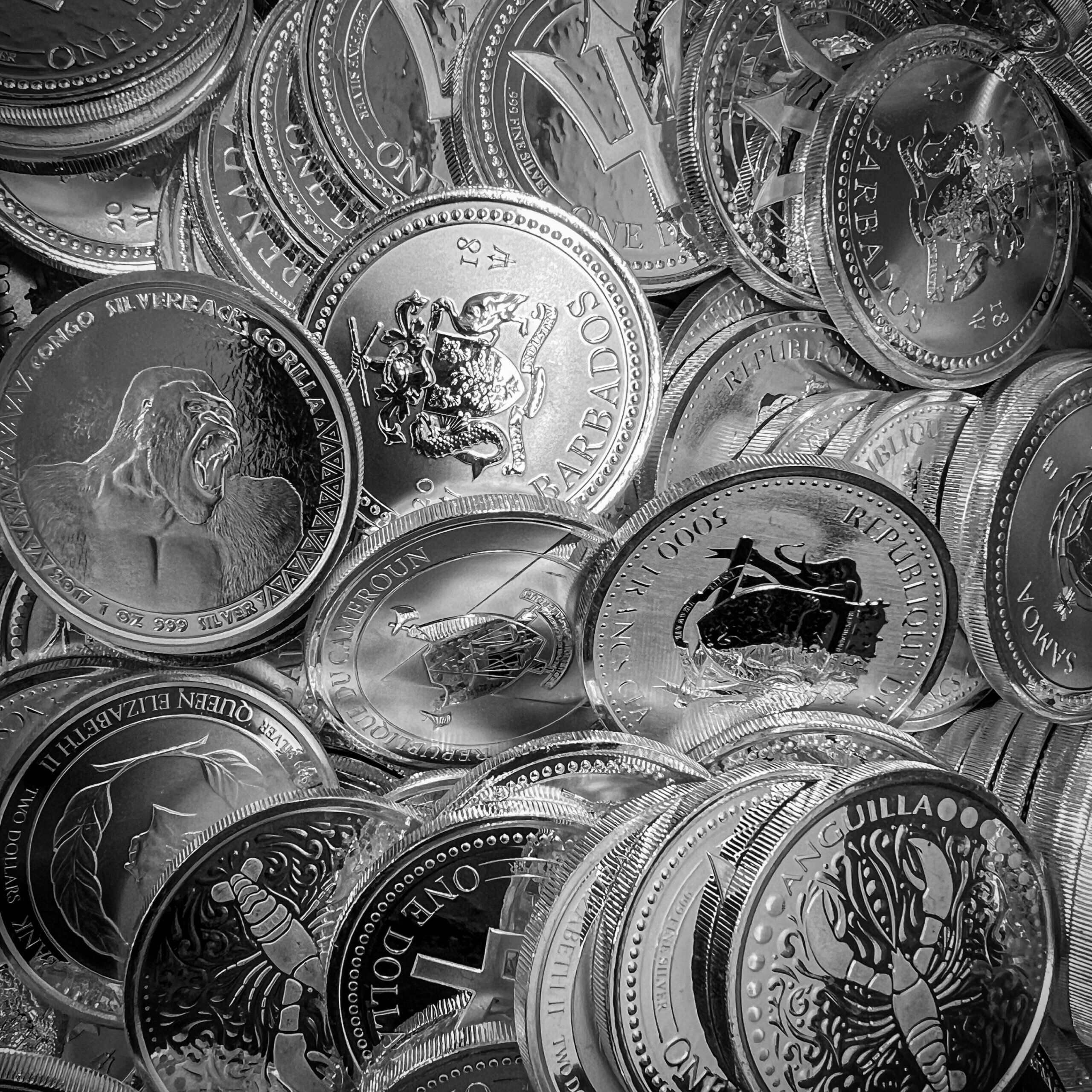 2560x2560 Troy oz Silver Coin Circulated