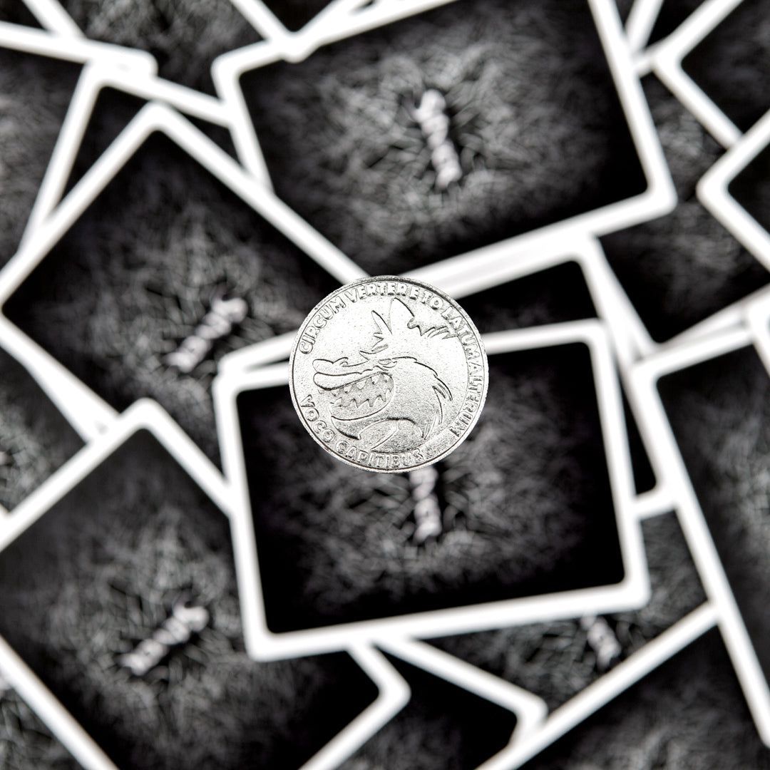 1080x1080 Silver Coin