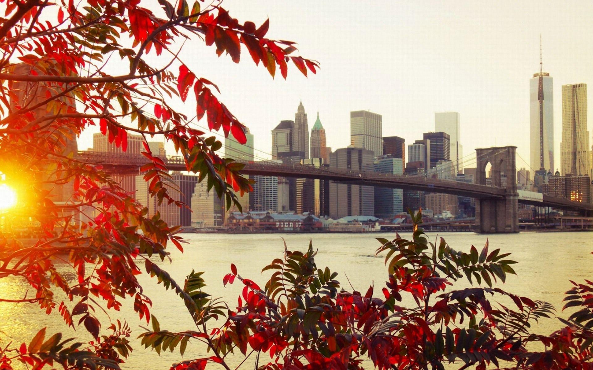 1920x1200 Romantic Autumn in New York Wallpaper