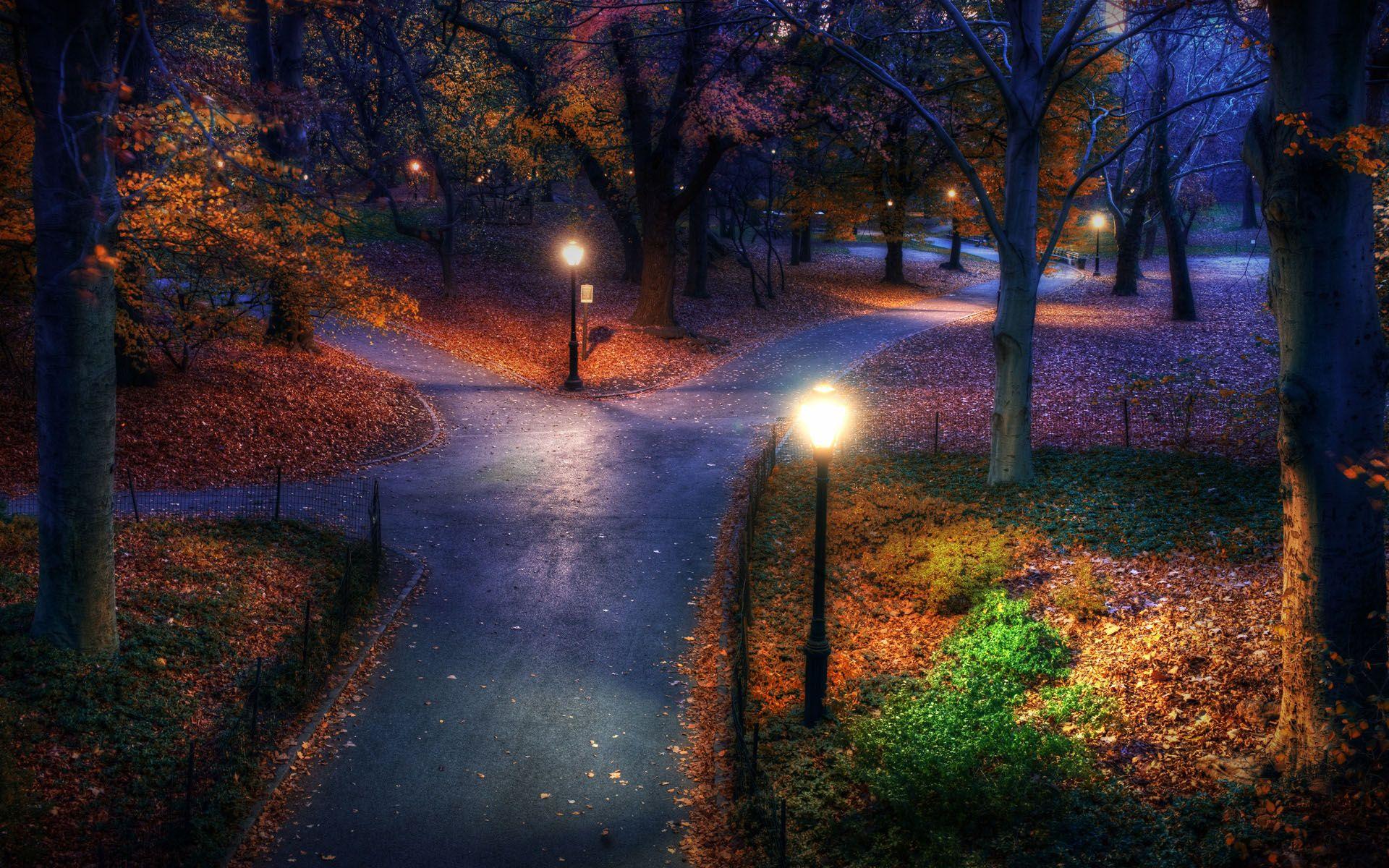 1920x1200 Fall Central Park New York
