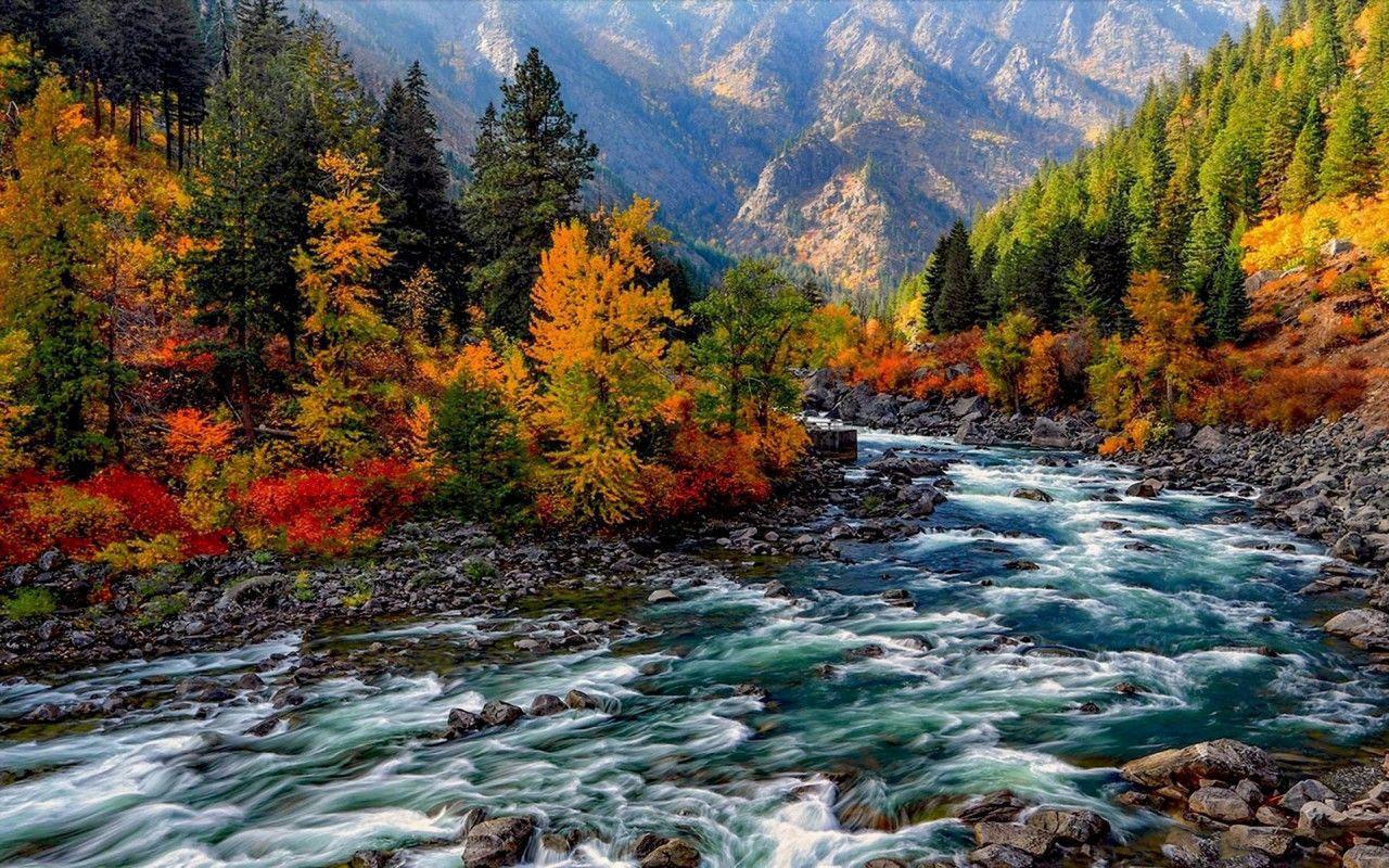 1280x800 Colorful Forest & Rapid River wallpaper. Colorful Forest