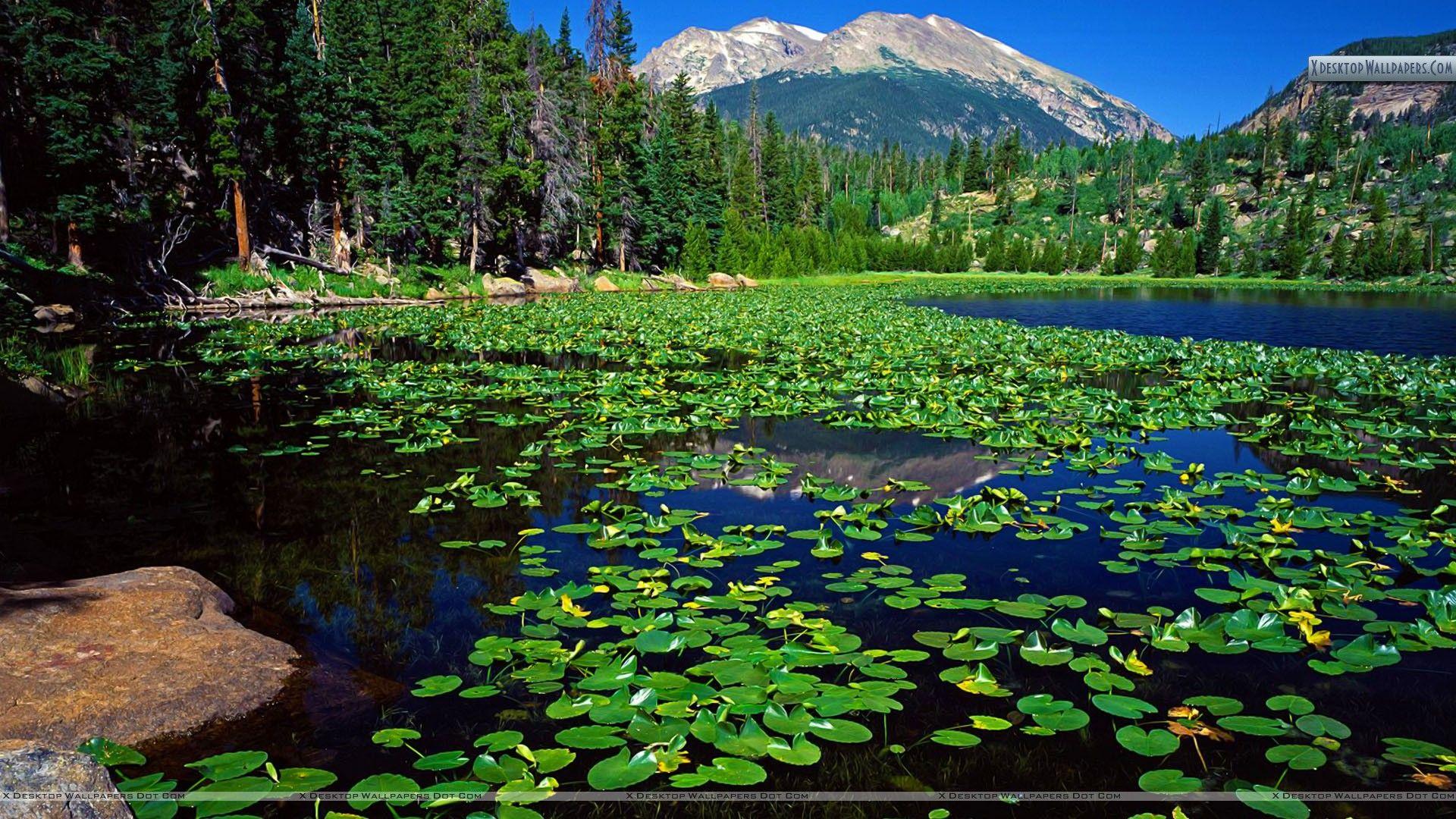 1920x1080 Cub Lake Stones Mountain Rocky Mountain National Park