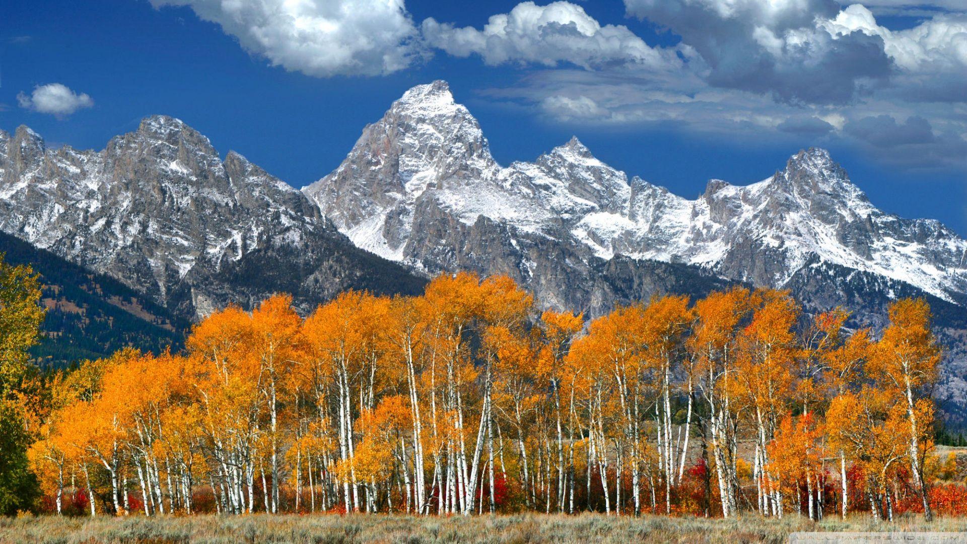 1920x1080 Free Autumn Mountain Wallpaper HD at Landscape Monodomo