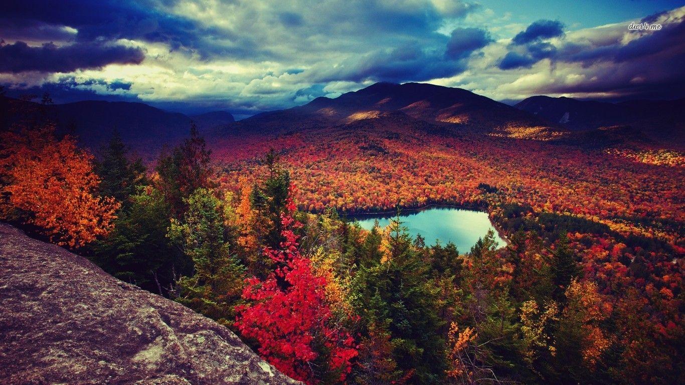 1366x768 Mountain forest during fall wallpaper wallpaper