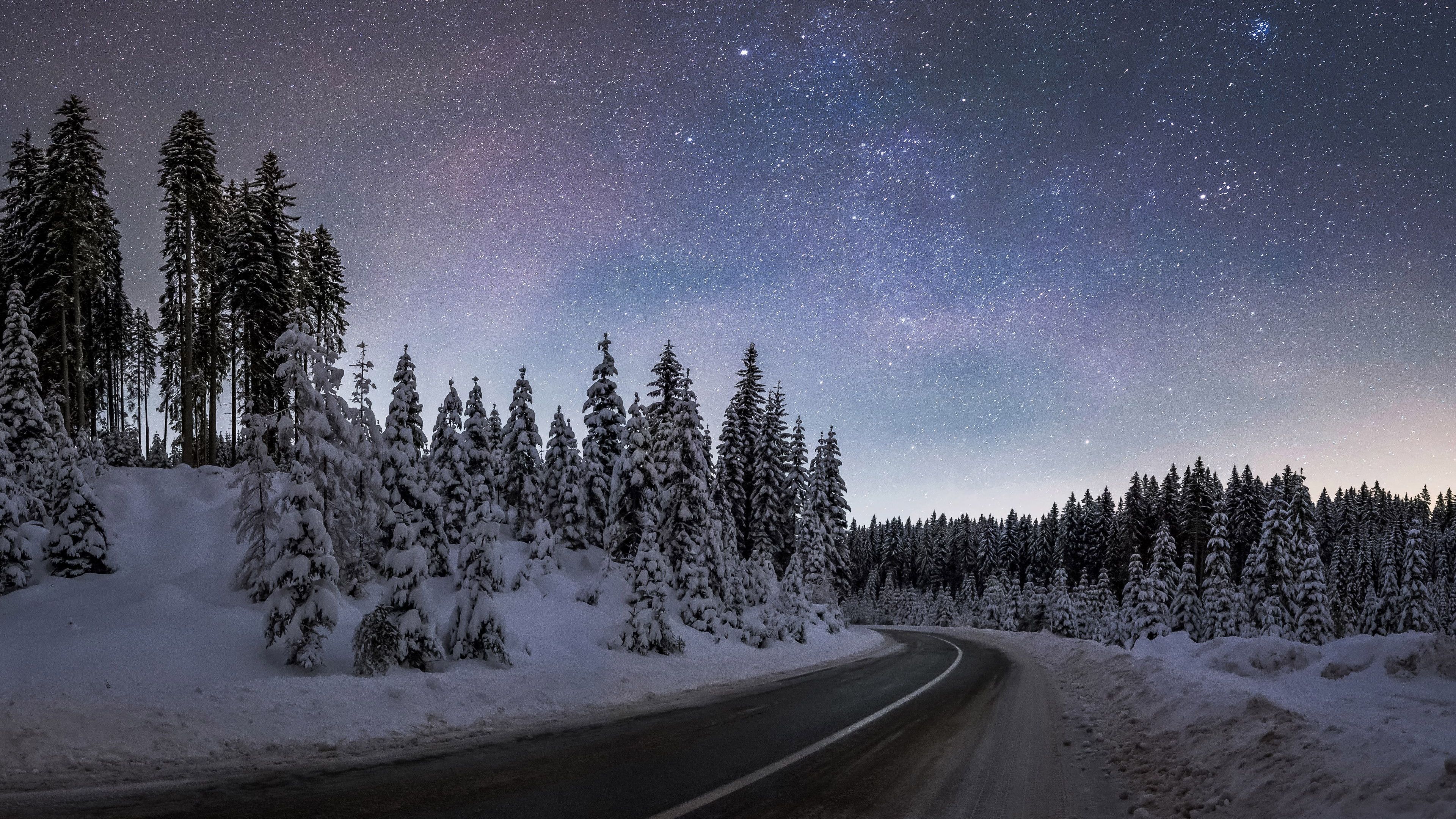 3840x2160 Winter night at Pokljuka forest 3840x2160