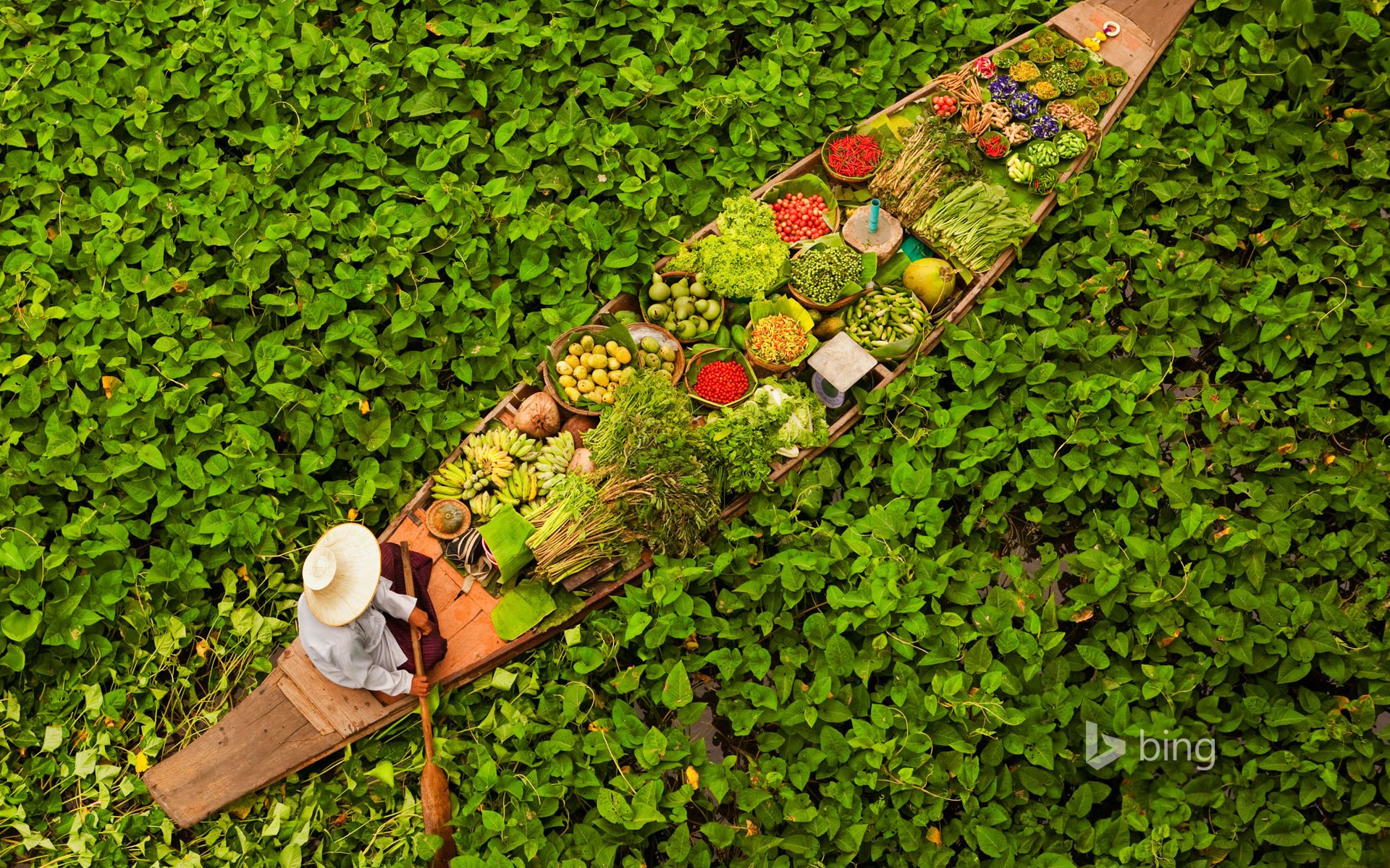 1920x1200 Wallpaper leaves, water, boat, Thailand