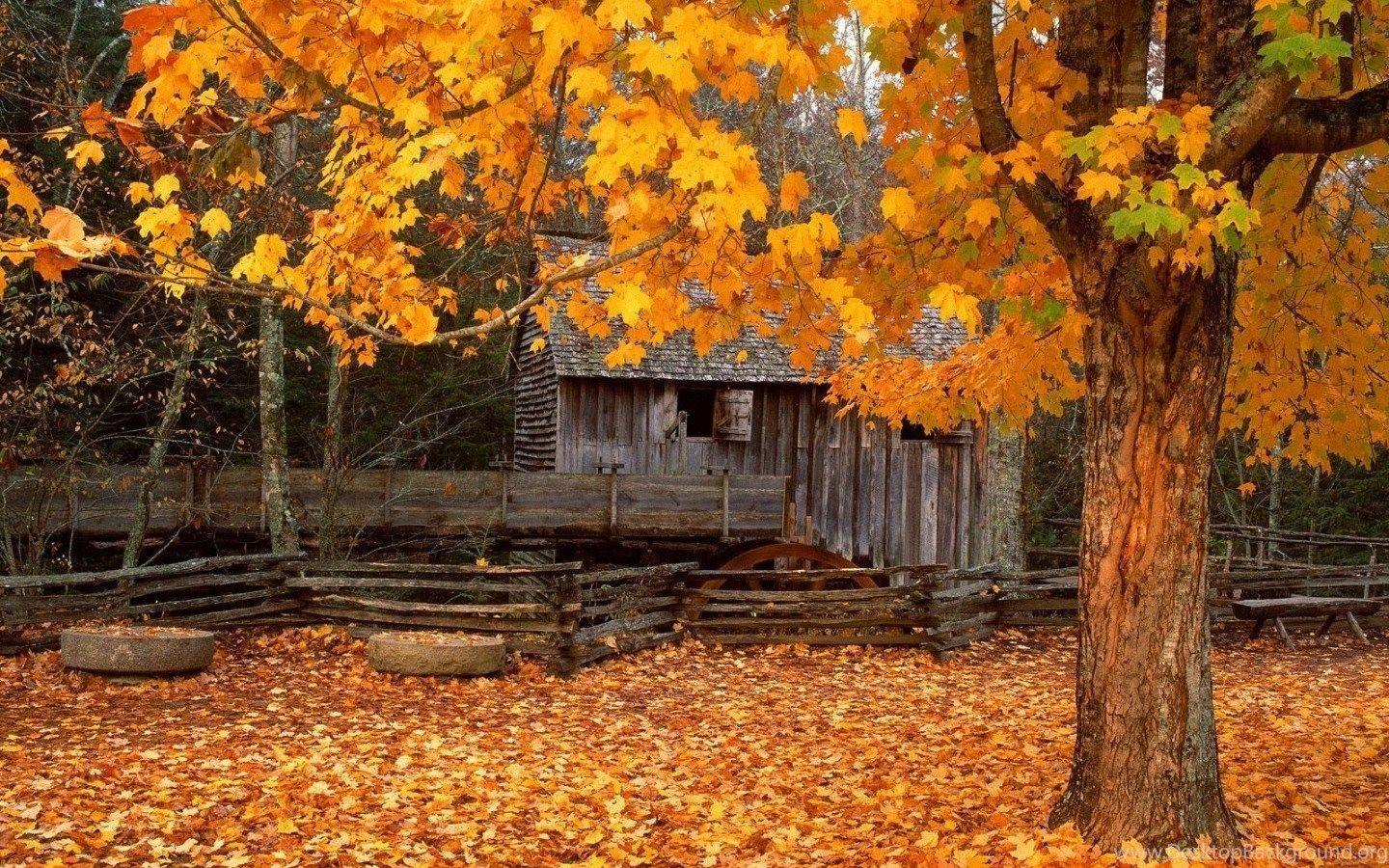 1440x900 Autumn Mountain Desktop Wallpaper HD Desktop Background
