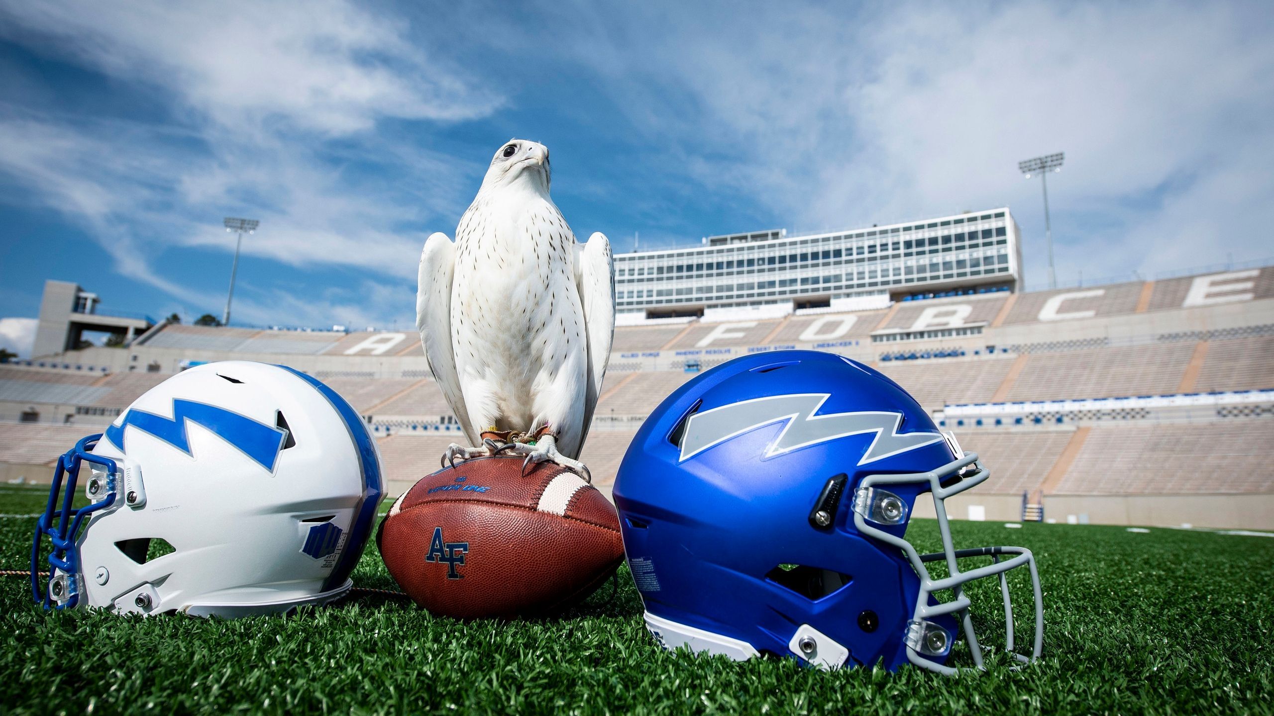 2560x1440 Air Force Falcons Football Wallpaper