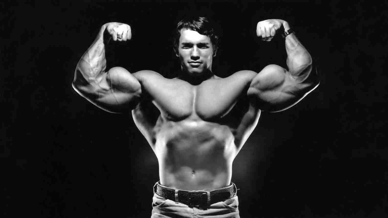 1517x853 Aesthetic Bodybuilding Wallpaper Download The Galleries