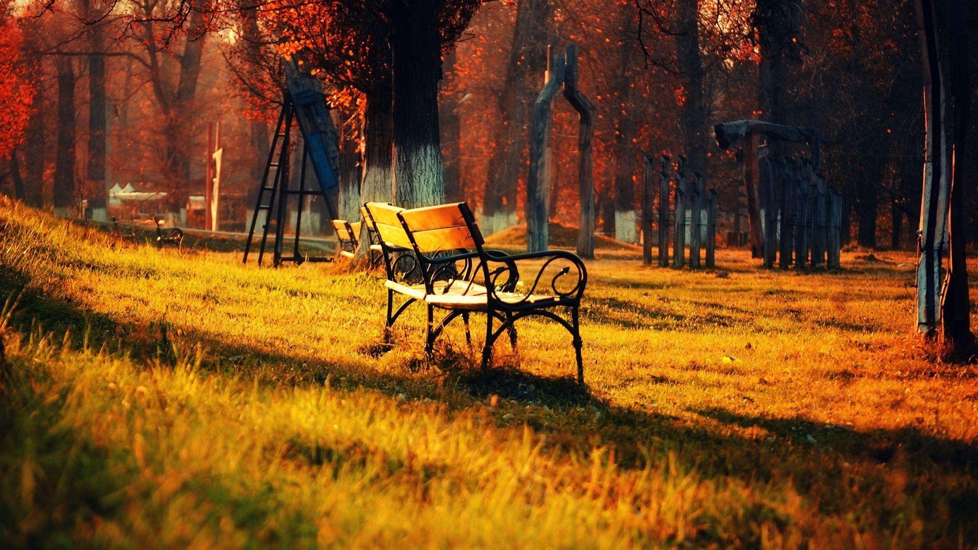Bench Wallpapers - Top Free Bench Backgrounds - WallpaperAccess