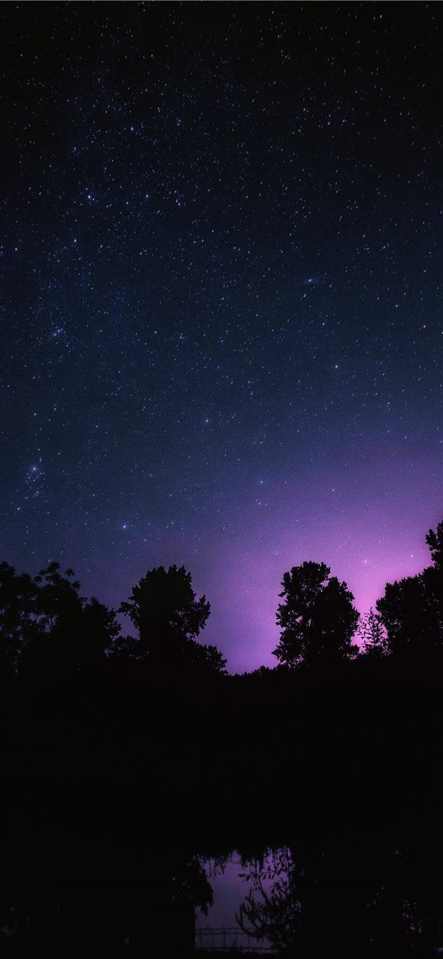 640x1385 Dreamy night iPhone X Wallpaper