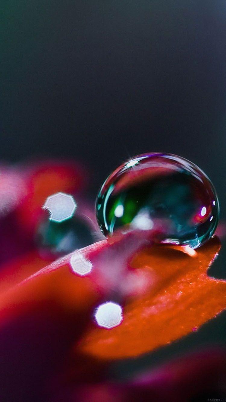 Apple Raindrop Wallpapers Top Free Apple Raindrop Backgrounds WallpaperAccess