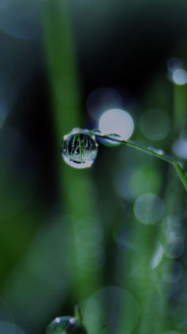 750x1334 iPhone7 wallpaper. bokeh leaf
