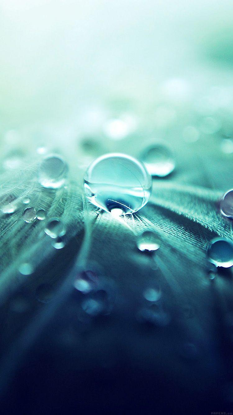 750x1334 iPhone wallpaper. raindrops nature
