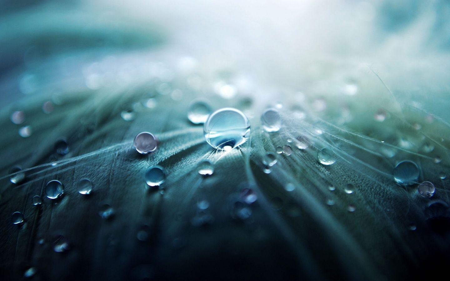 1440x900 Incredible Wallpaper Attractive Raindrop Background
