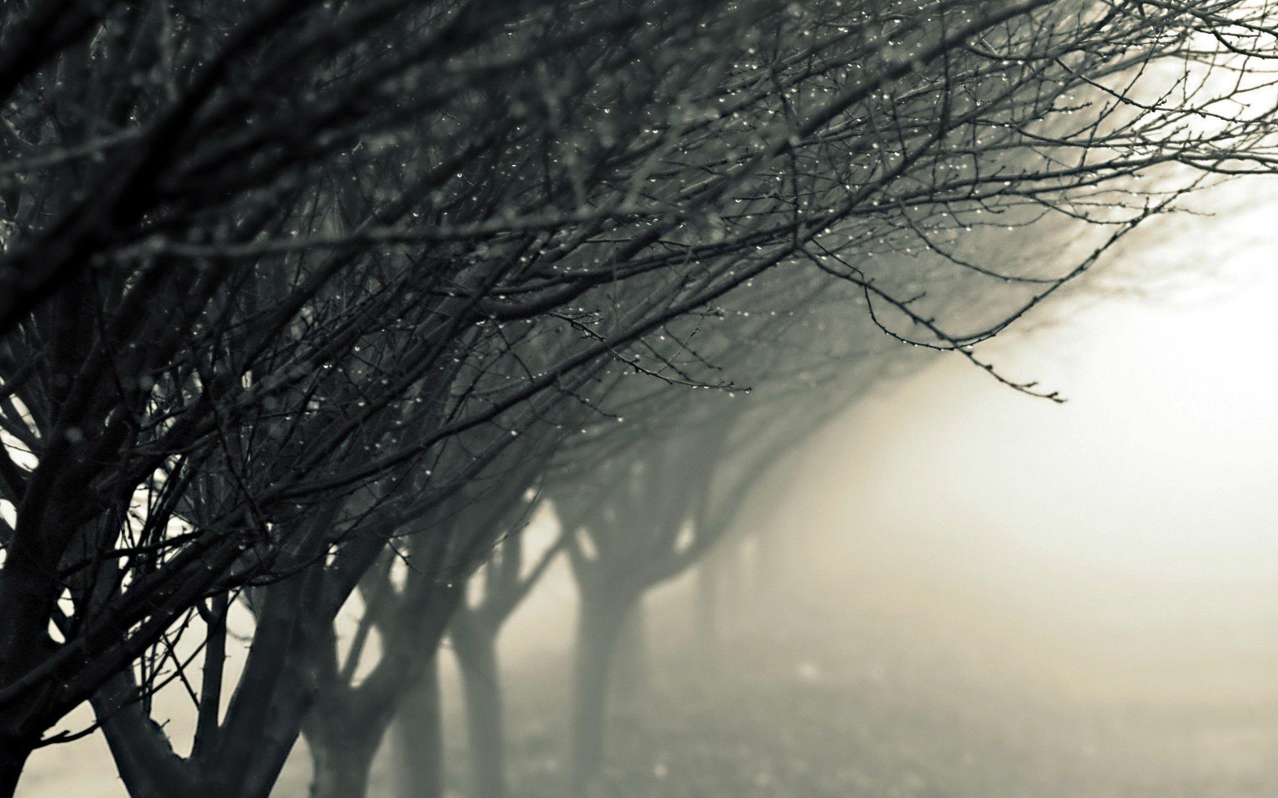 2560x1600 Raindrop Wallpaper