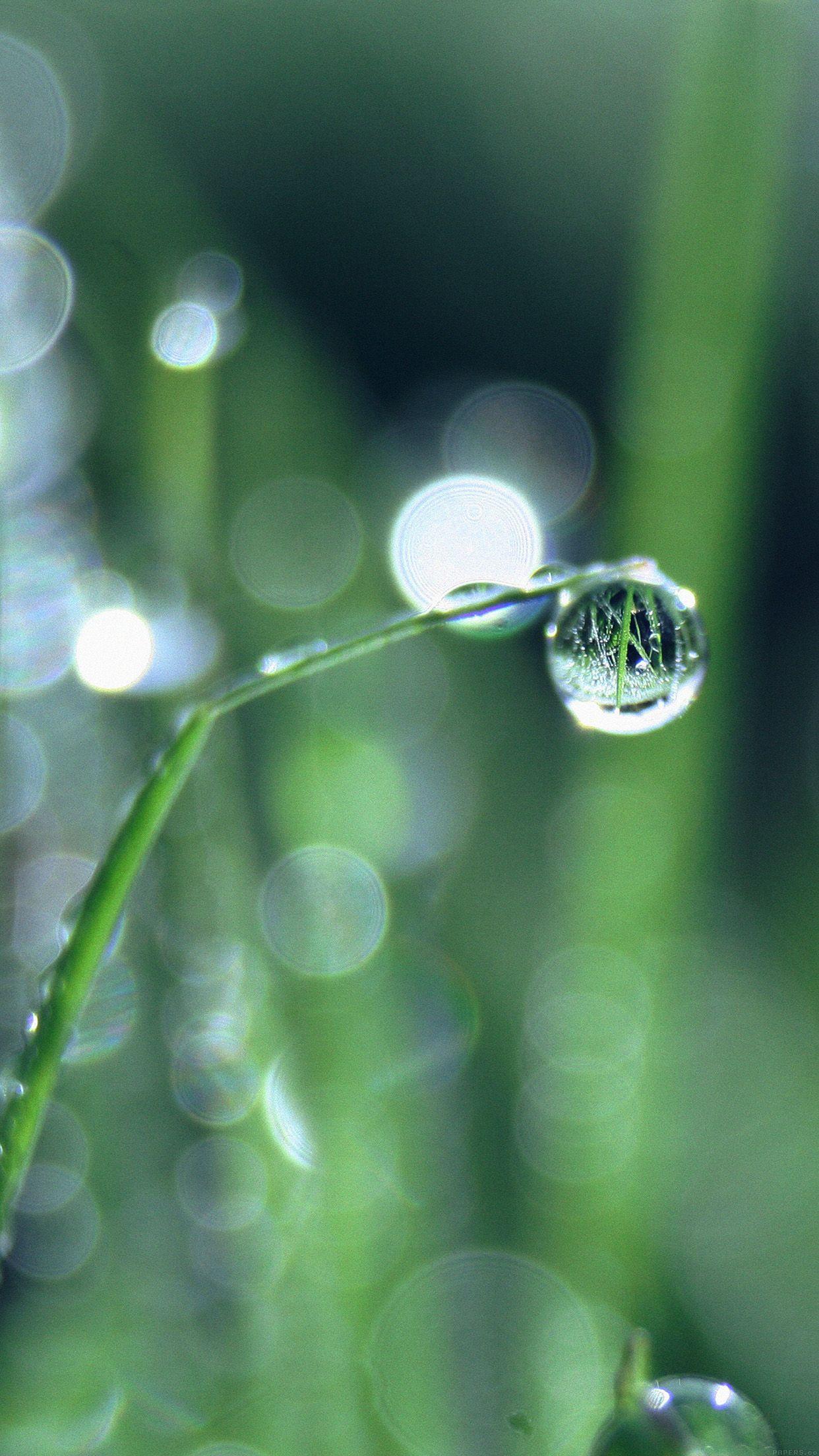 Raindrop Desktop Wallpapers - Top Free Raindrop Desktop Backgrounds ...