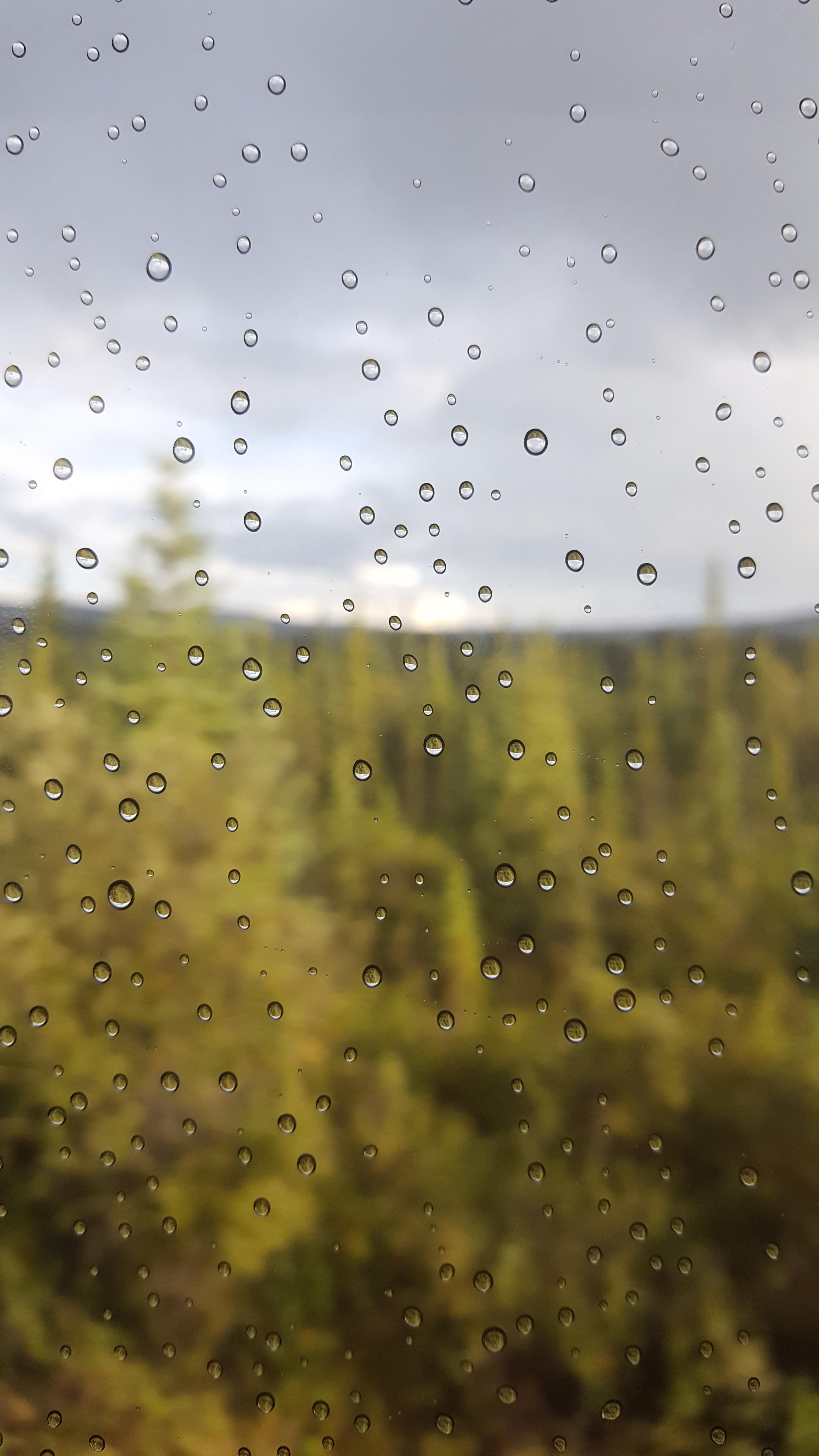 2988x5312 Raindrops on the Window of the Alaskan Railroad Train