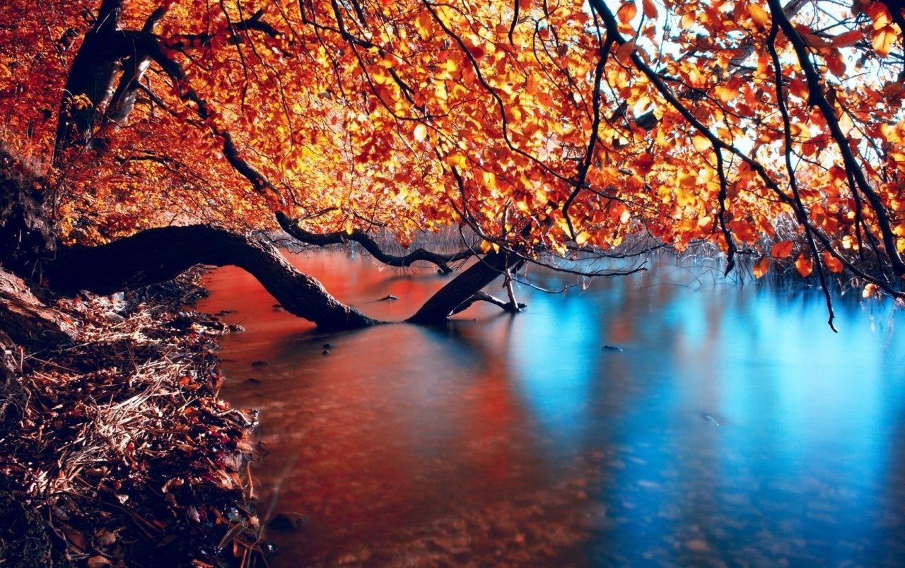 Autumn Ocean Wallpapers - Top Free Autumn Ocean Backgrounds ...