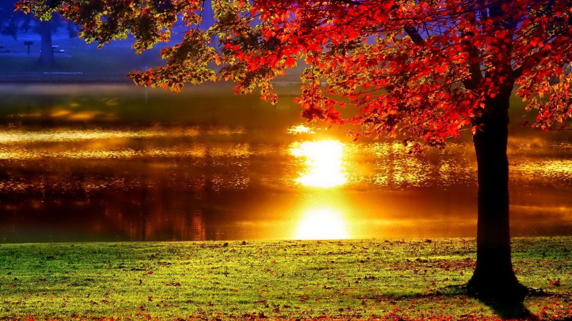 Autumn Sunset Wallpapers Top Free Autumn Sunset Backgrounds 