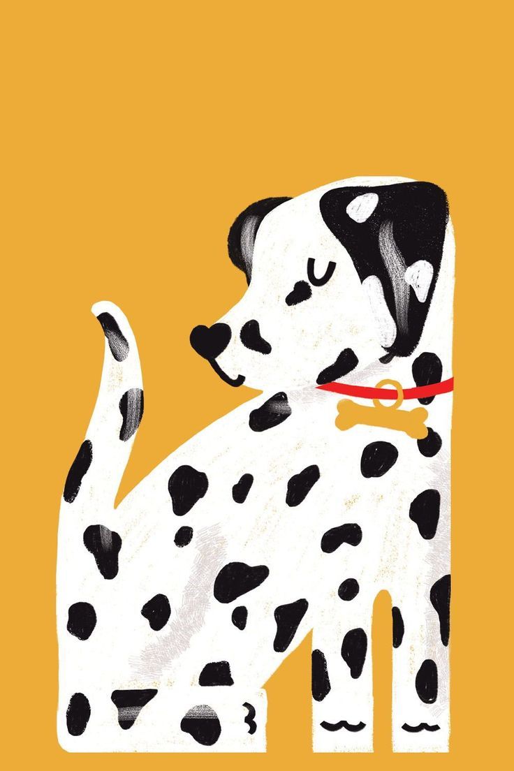 736x1104 adorable Dalmatian dog