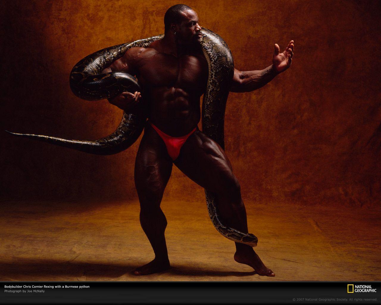 1280x1024 Bodybuilding Wallpaper for Background
