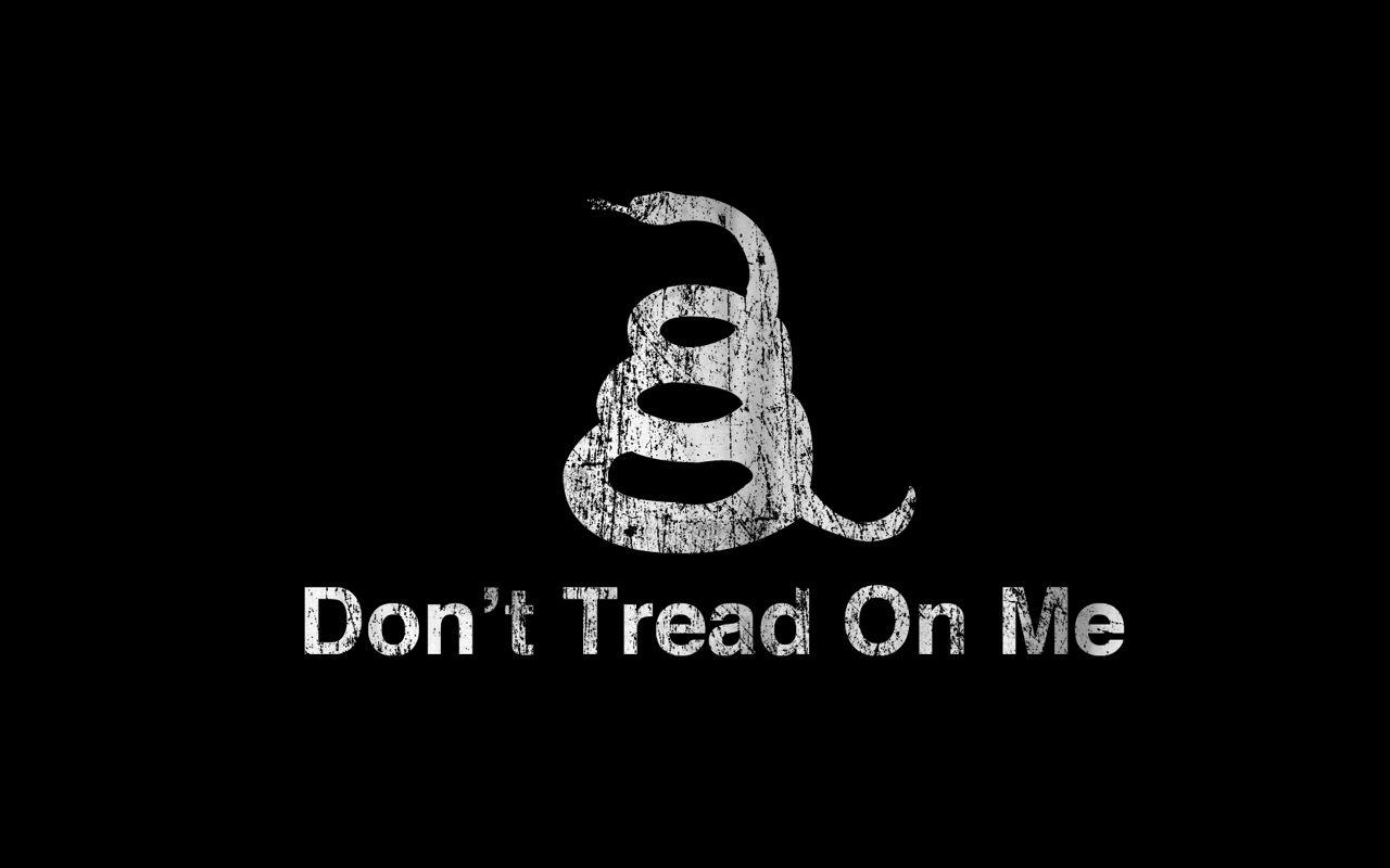 1280x800 Download 1280x800 Snakes flags tea party gadsden flag Wallpaper