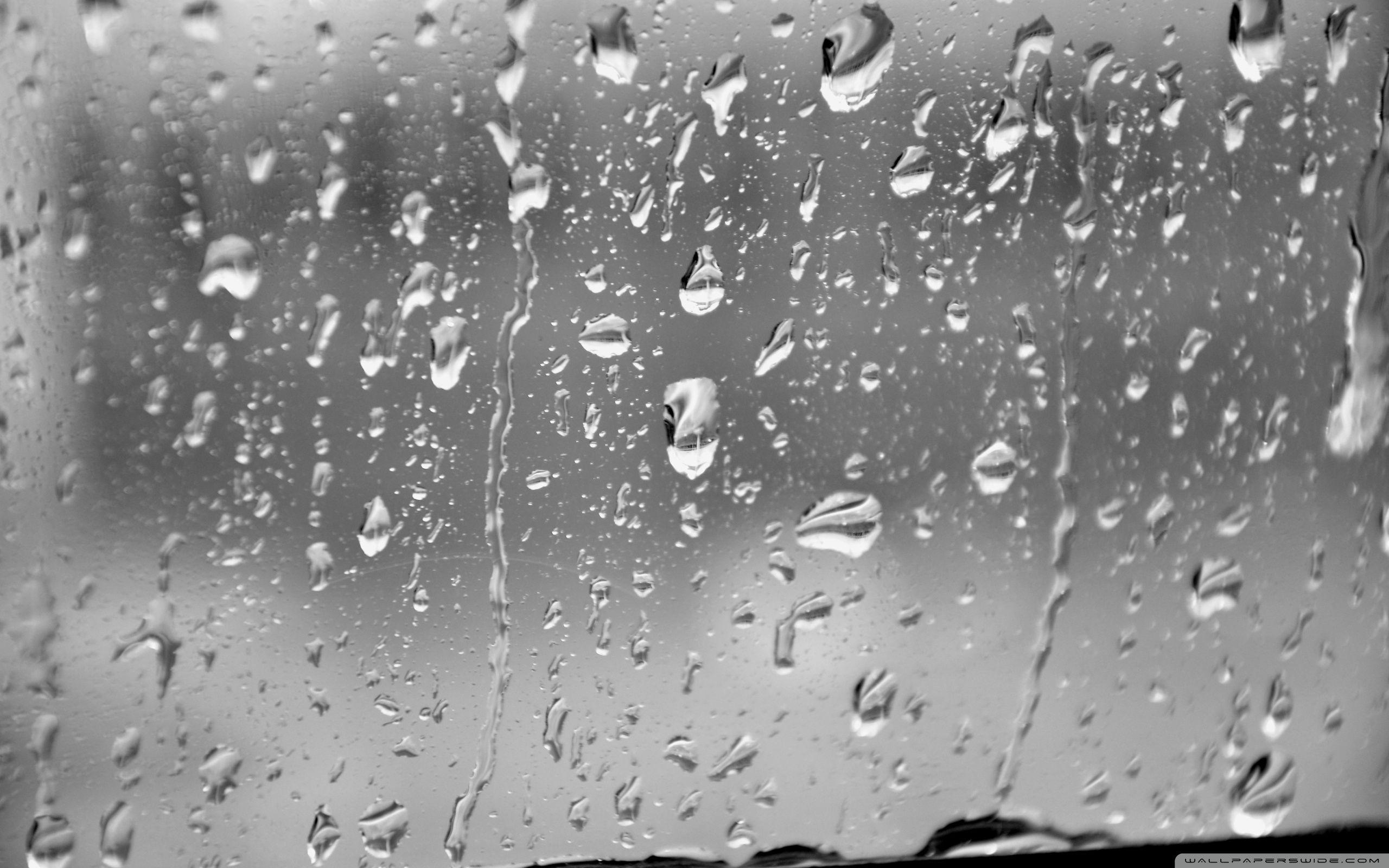 2560x1600 Rain Screen Wallpaper