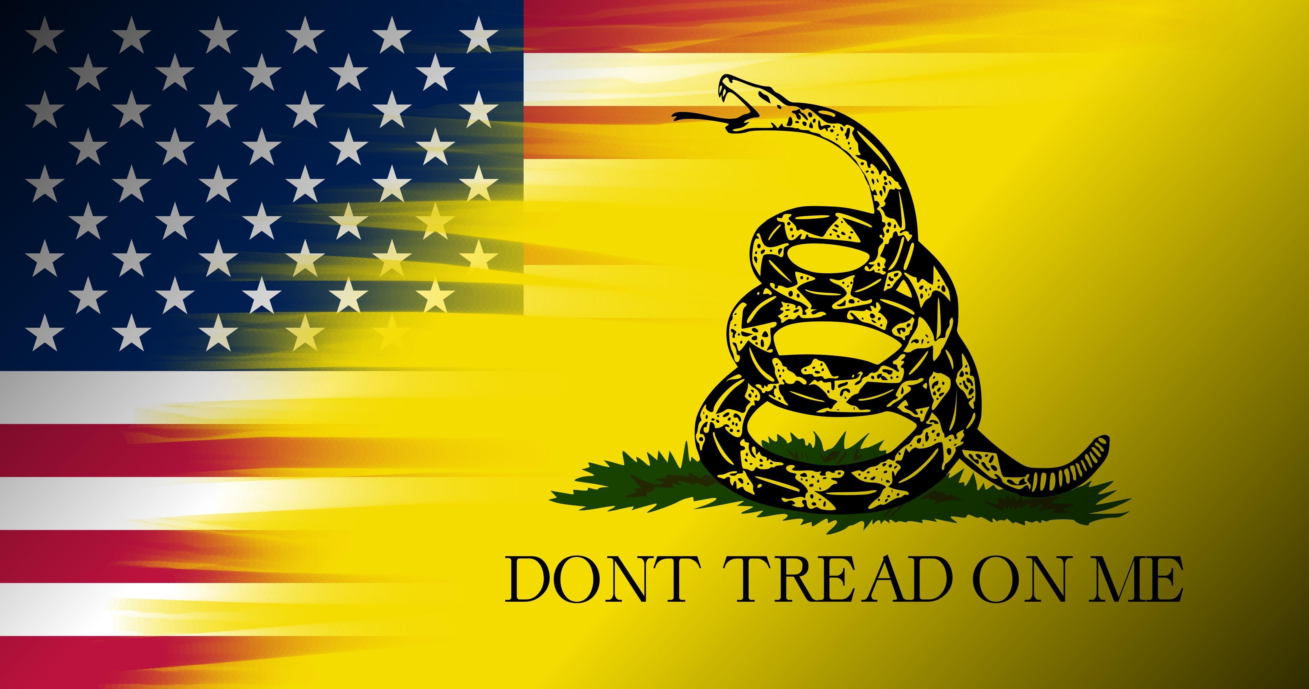 Don't Tread On Me Flag Wallpapers - Top Free Don't Tread On Me Flag  Backgrounds - WallpaperAccess