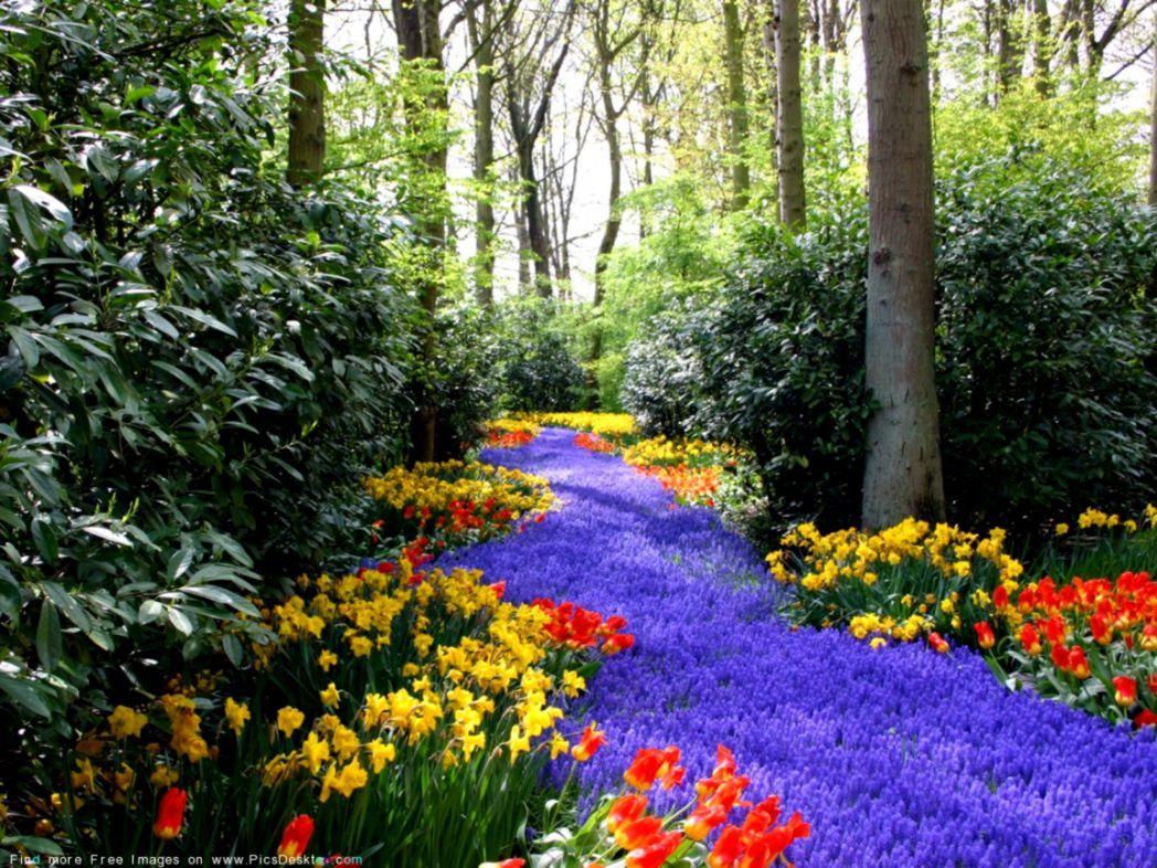 Spring Scenes Wallpapers - Top Free Spring Scenes Backgrounds ...