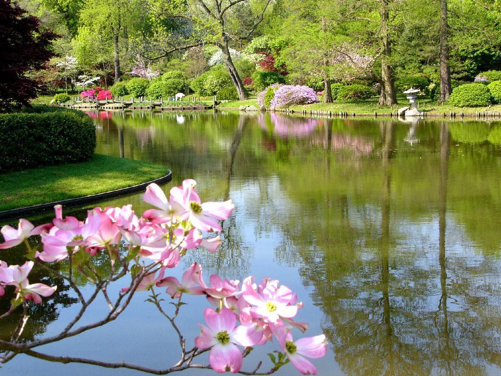 1024x768 Free Desktop Wallpaper Spring Scenes Widescreen, 04 May