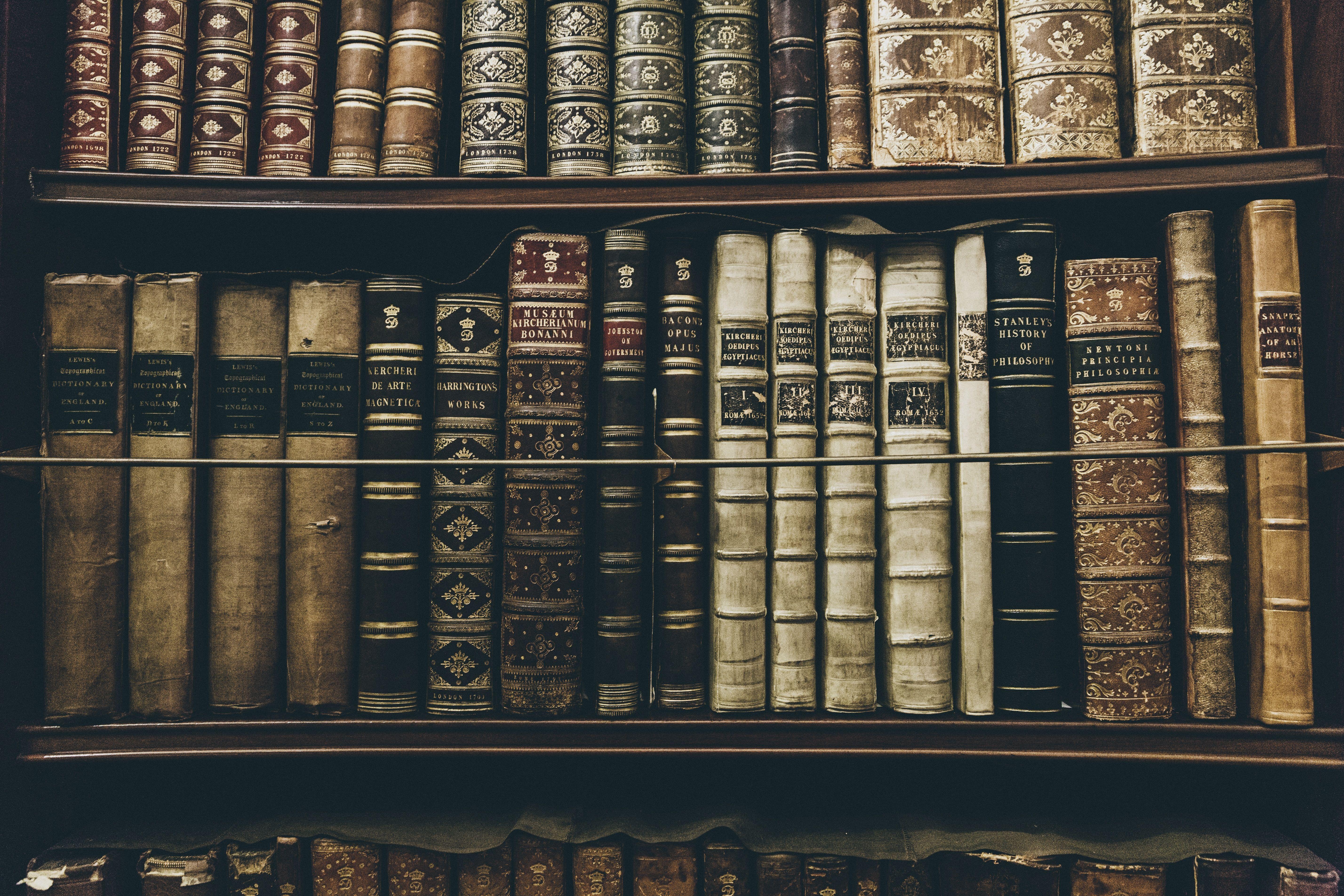 5713x3809 Bibliophile Picture. Download Free Image
